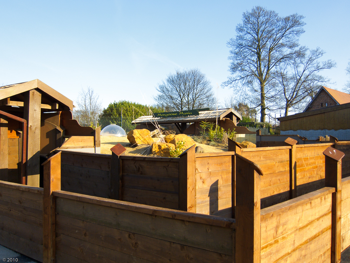 Chester Zoo Mongoose Mania - 04/03/2010
