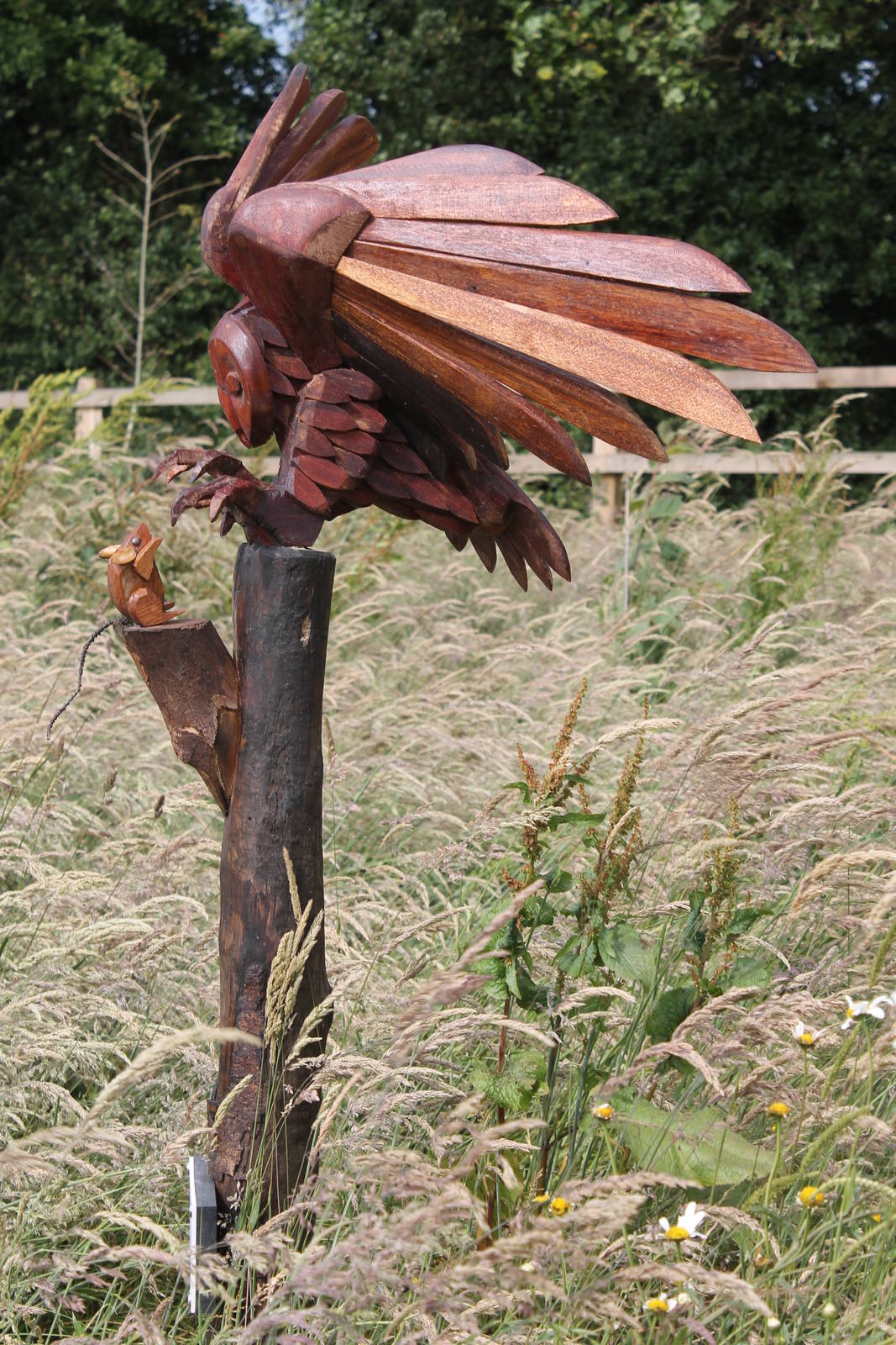 Chester Zoo, nature reserve, owl sculpture 24 June 2014