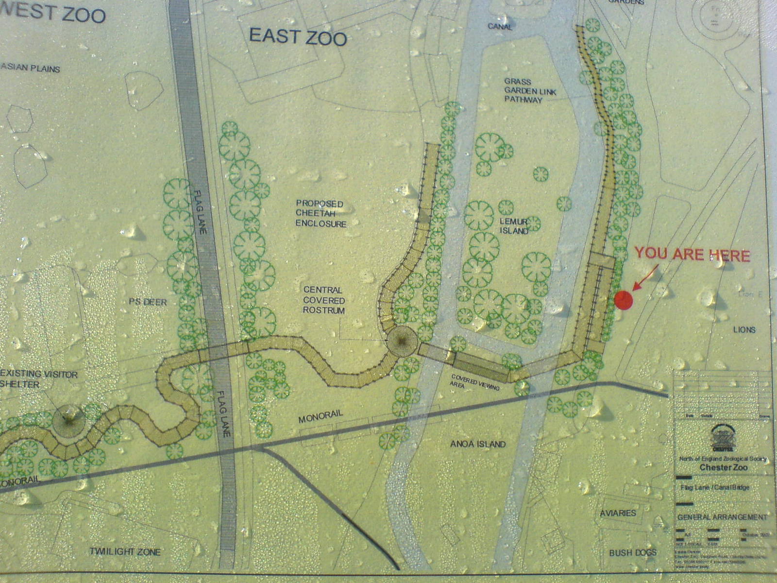 Chester Zoo New Bridge