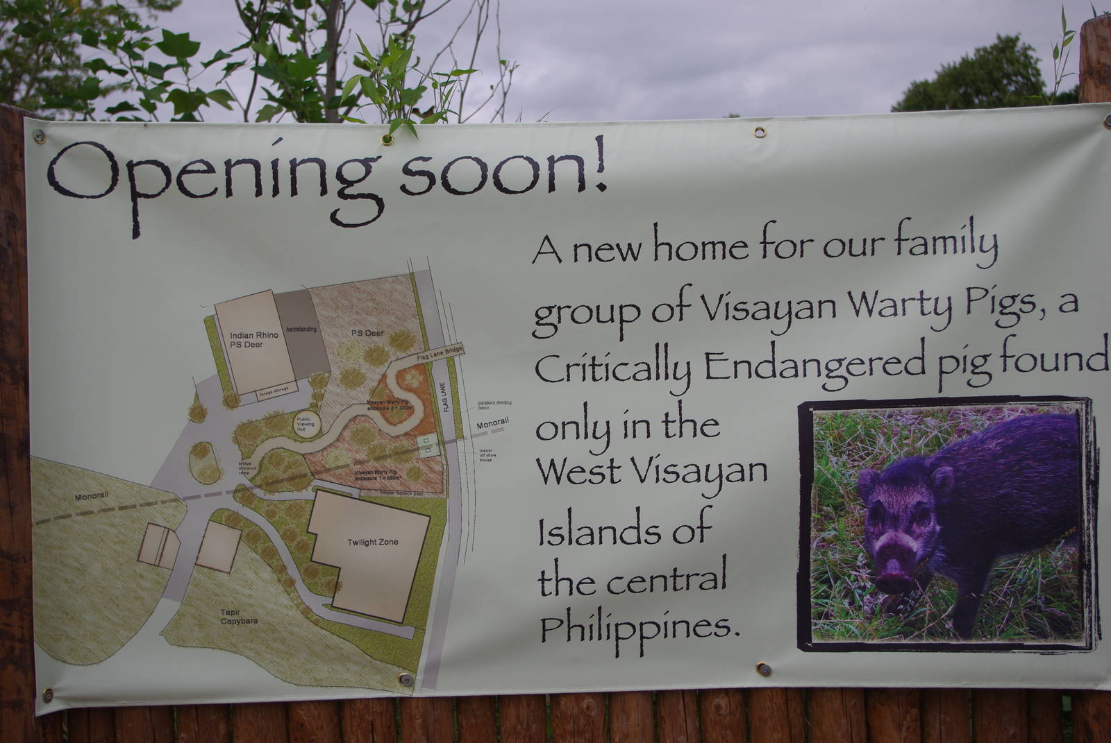 Chester Zoo - New Visayan Warty Pig Enclosure Plan