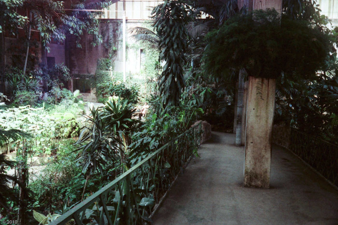 Chester Zoo Tropical Realm - 1985
