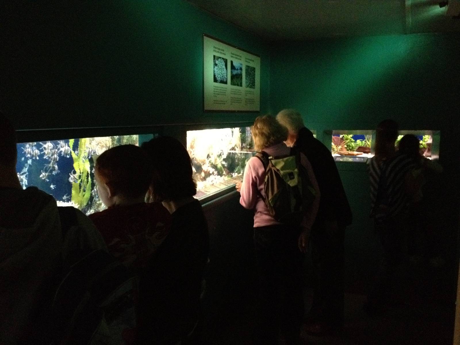 Chester Zoo Visit 30 August 2012 Aquarium