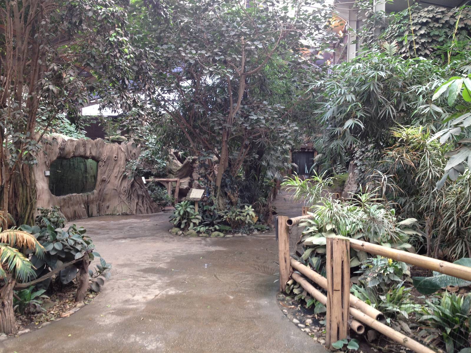 Chester Zoo Visit 30 August 2012 Elephant house