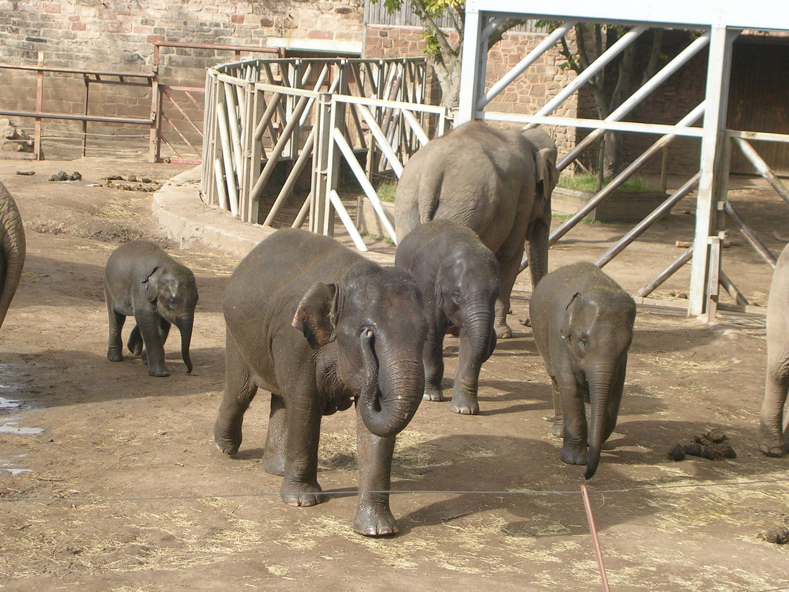 Chester Zoo