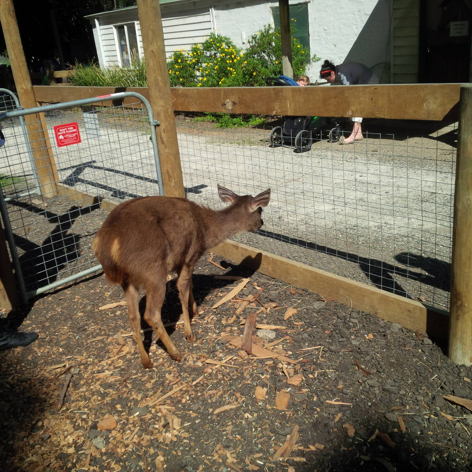 Chesterfield Farm, VIC