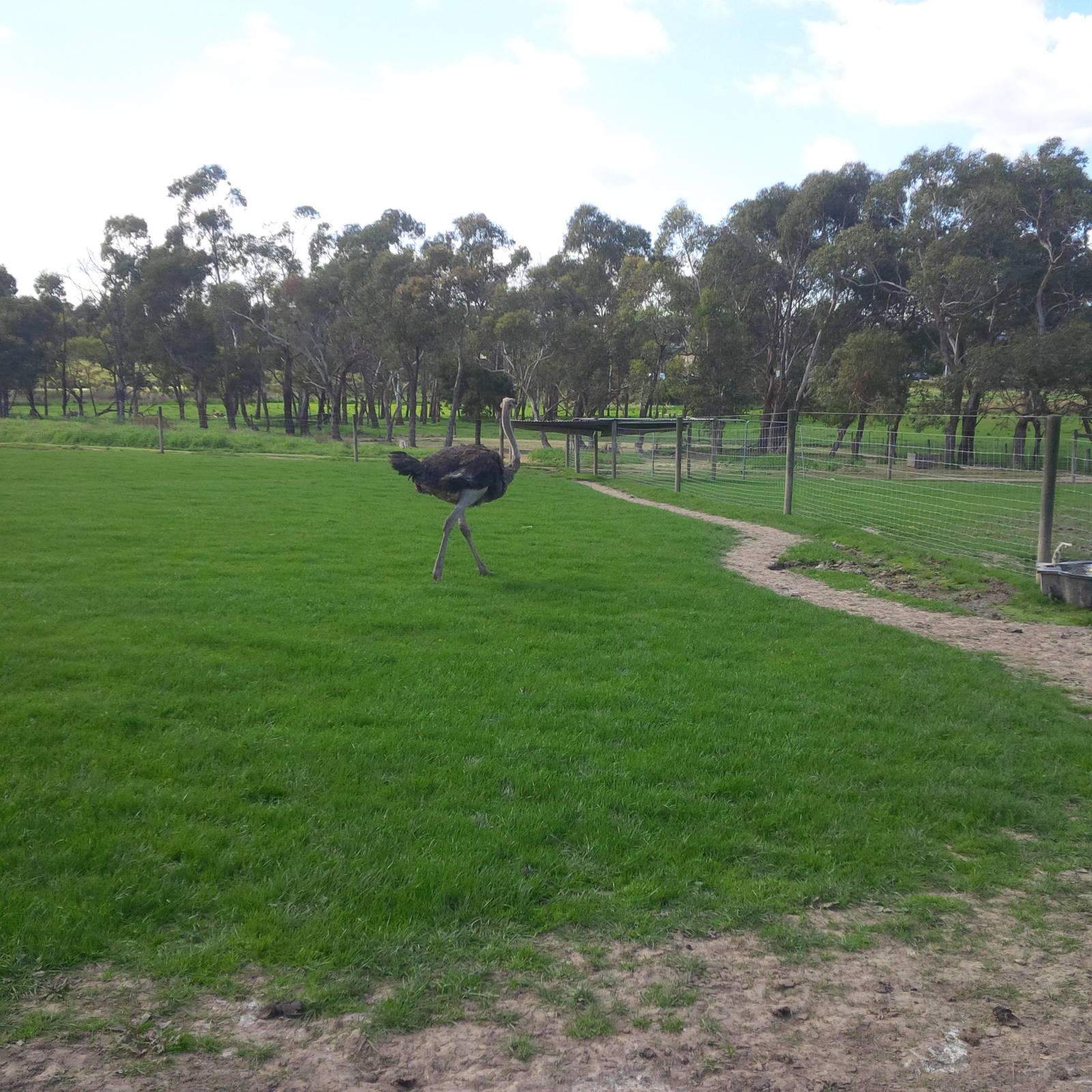 Chesterfield Farm, VIC