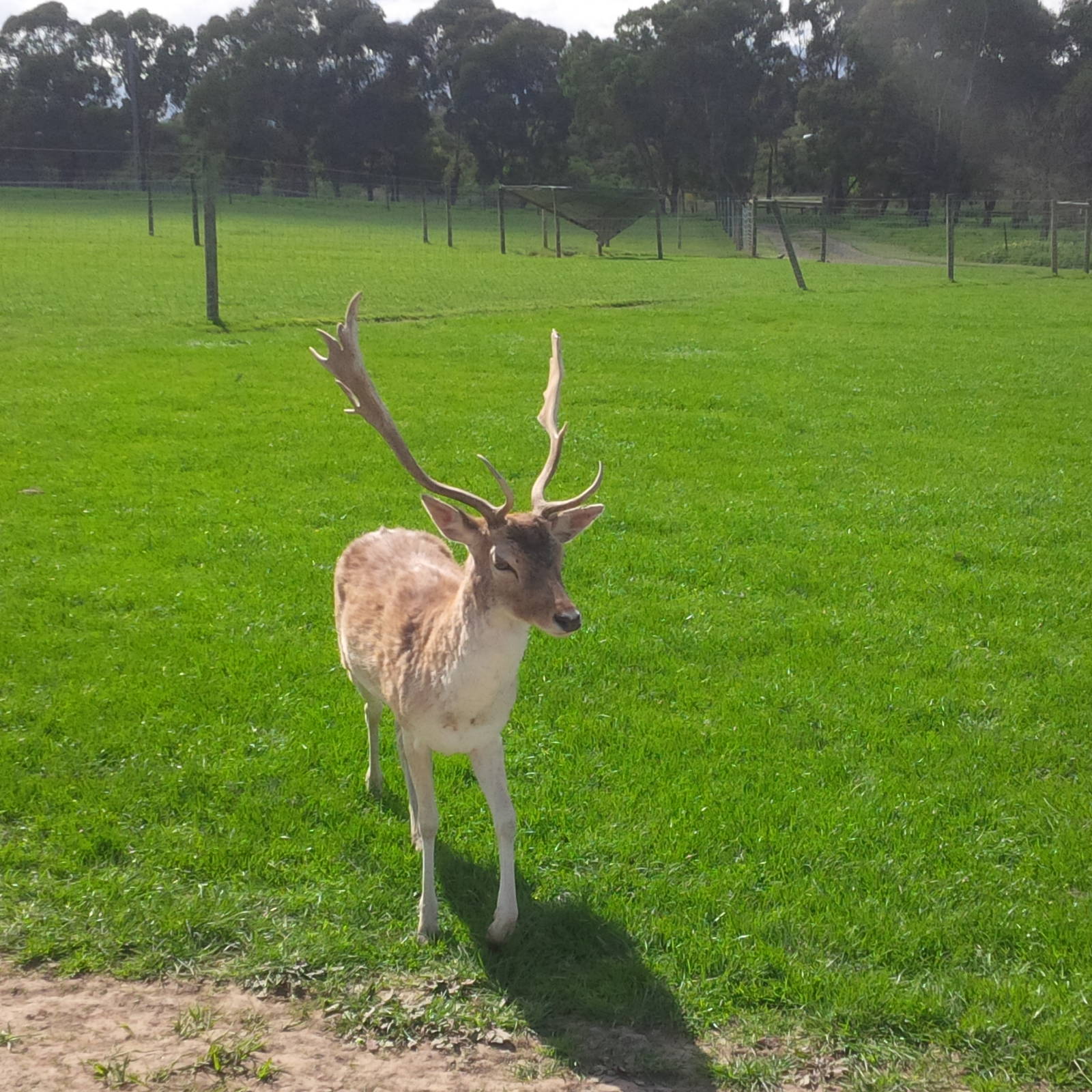 Chesterfield Farm, VIC