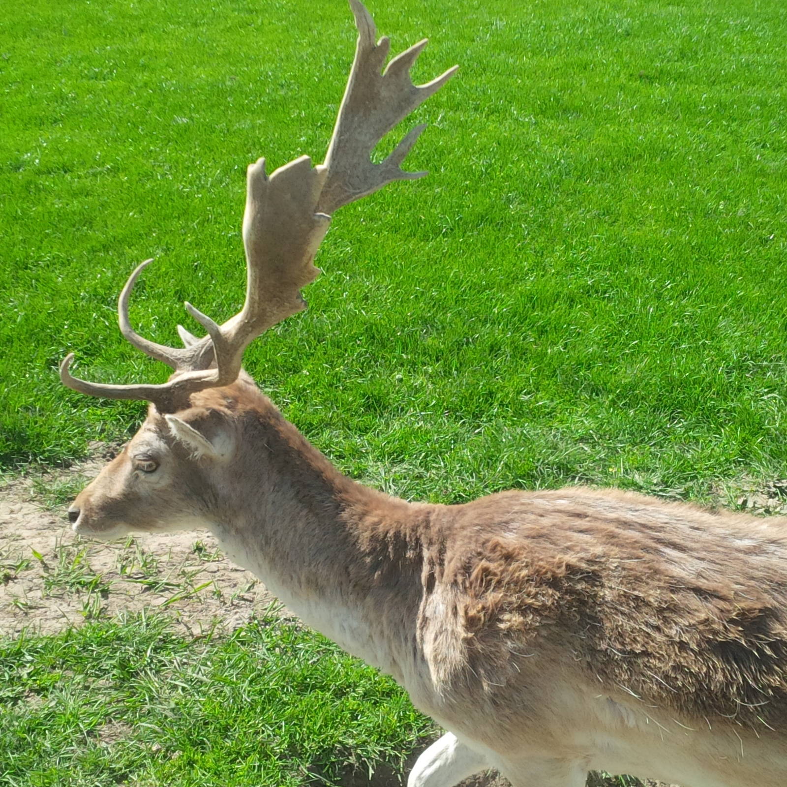 Chesterfield Farm, VIC