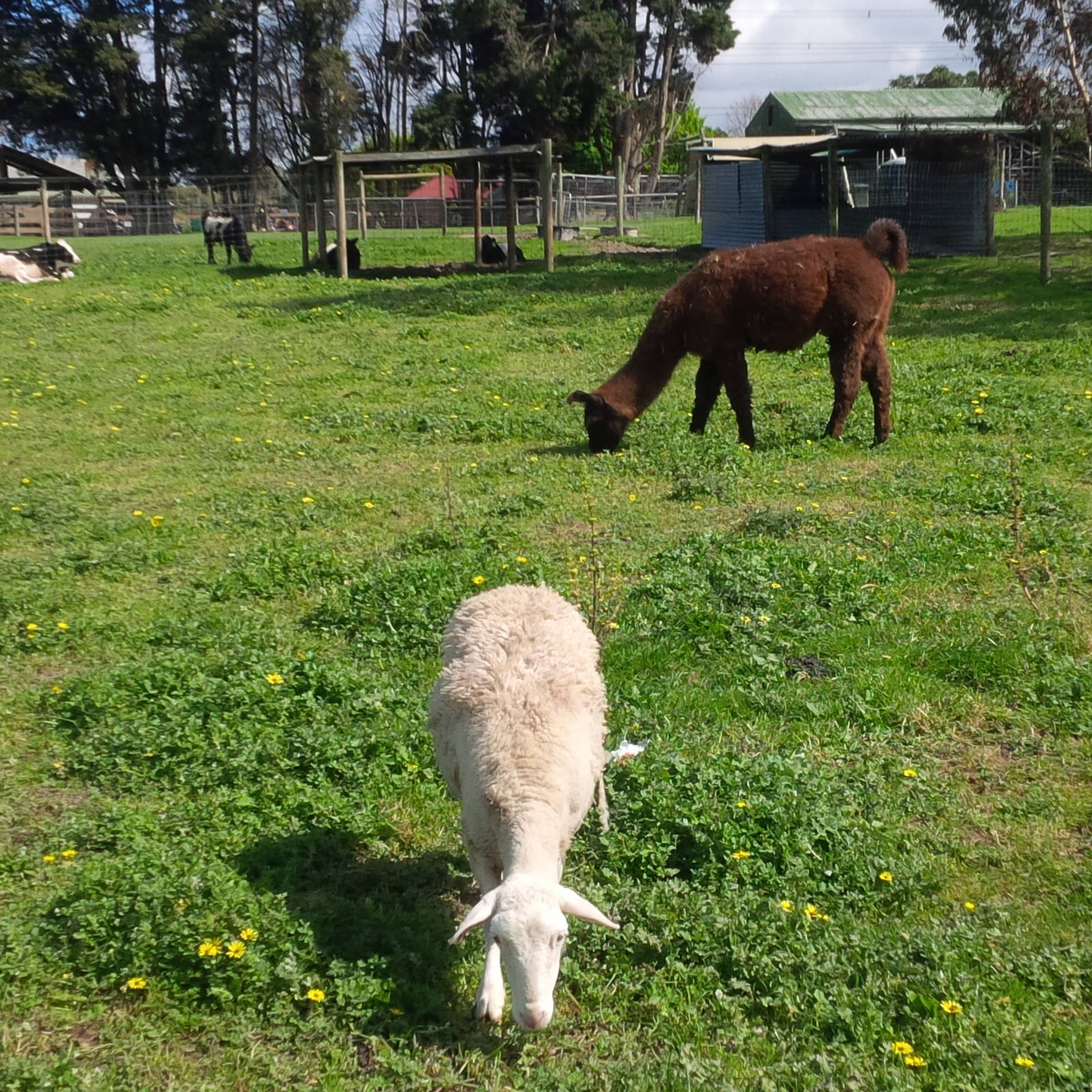 Chesterfield Farm, VIC