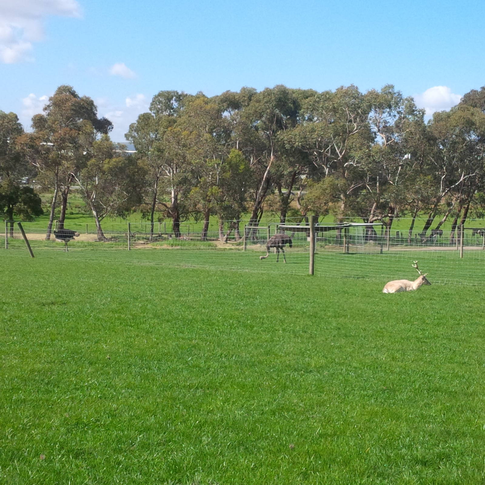 Chesterfield Farm, VIC
