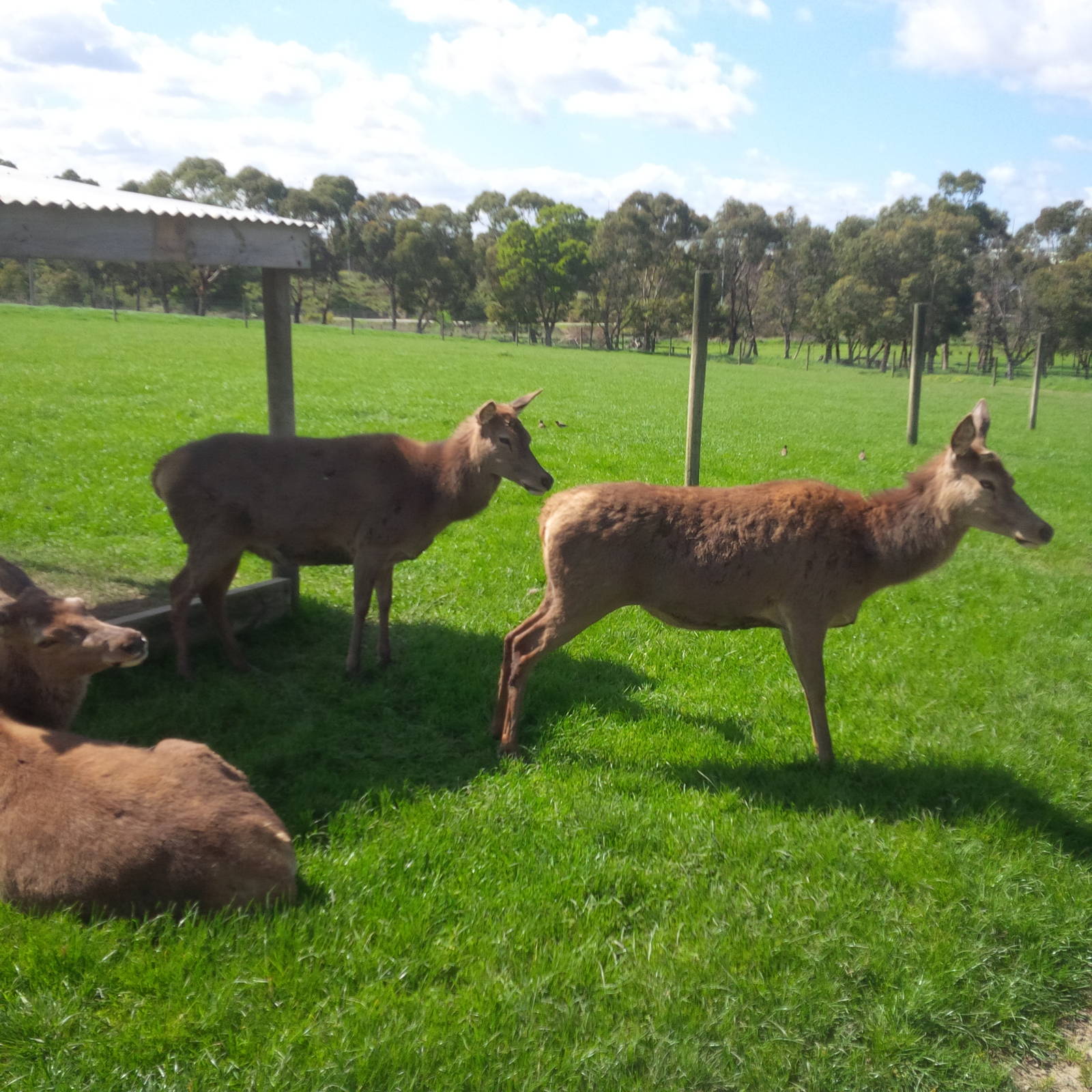 Chesterfield Farm, VIC