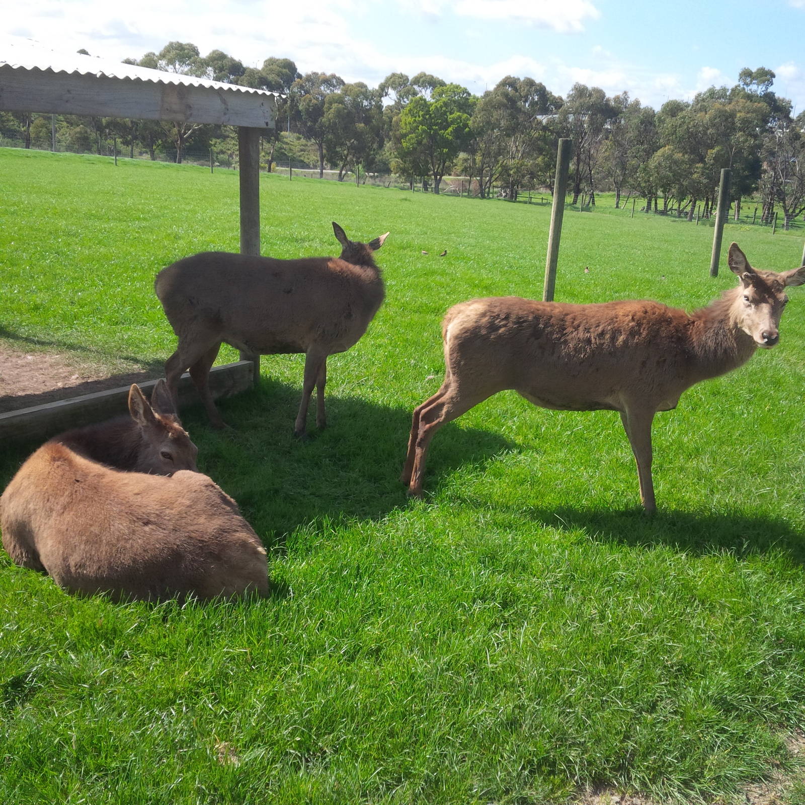 Chesterfield Farm, VIC