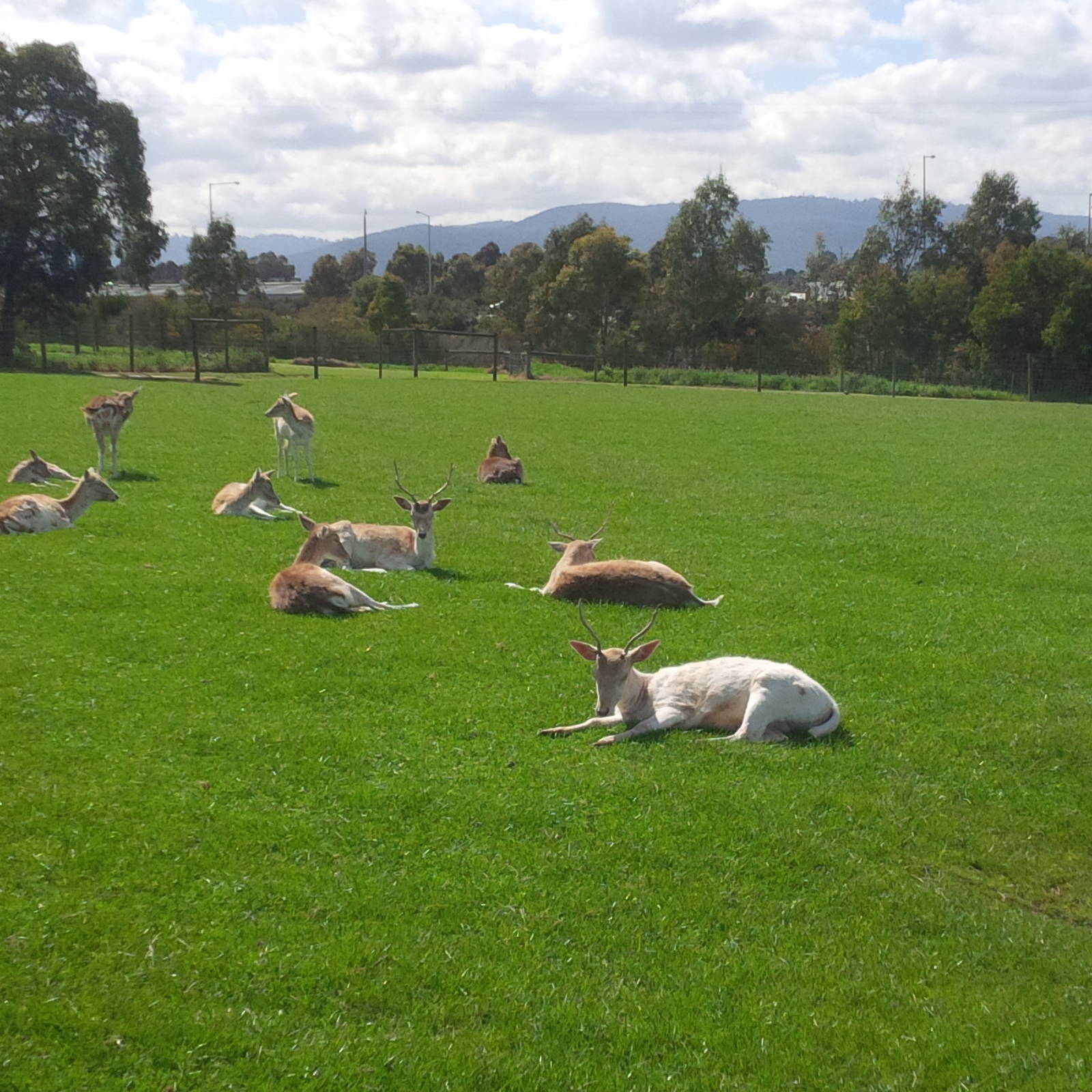 Chesterfield Farm, VIC