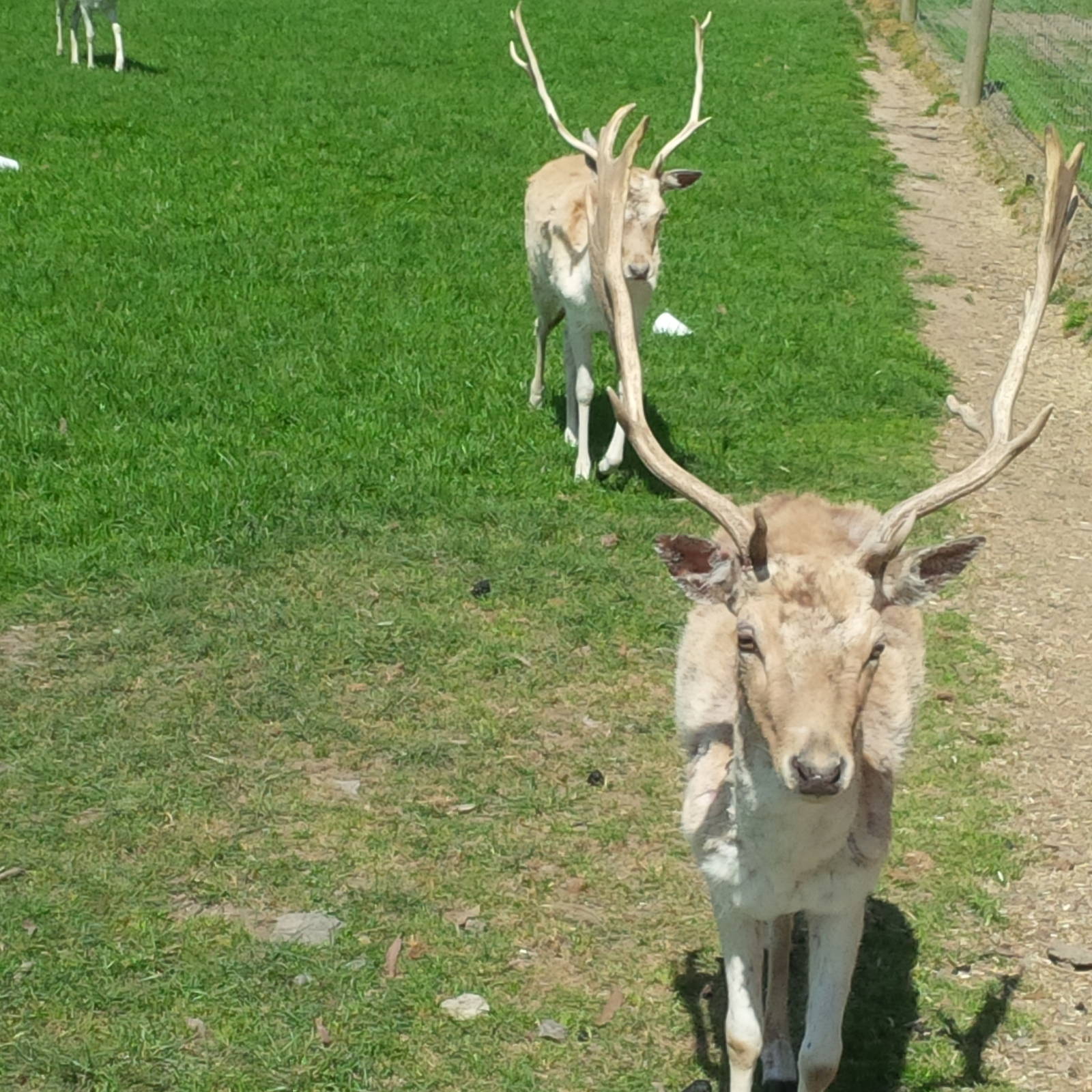 Chesterfield Farm, VIC