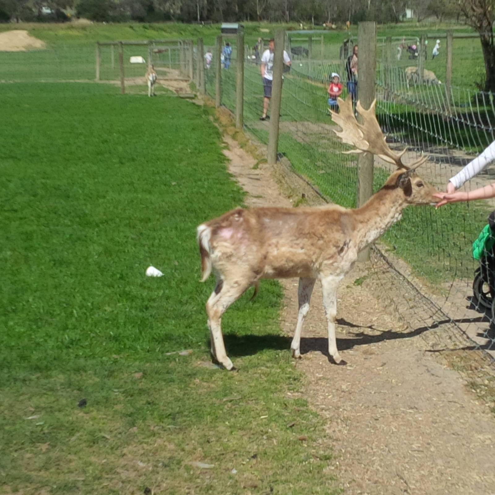 Chesterfield Farm, VIC