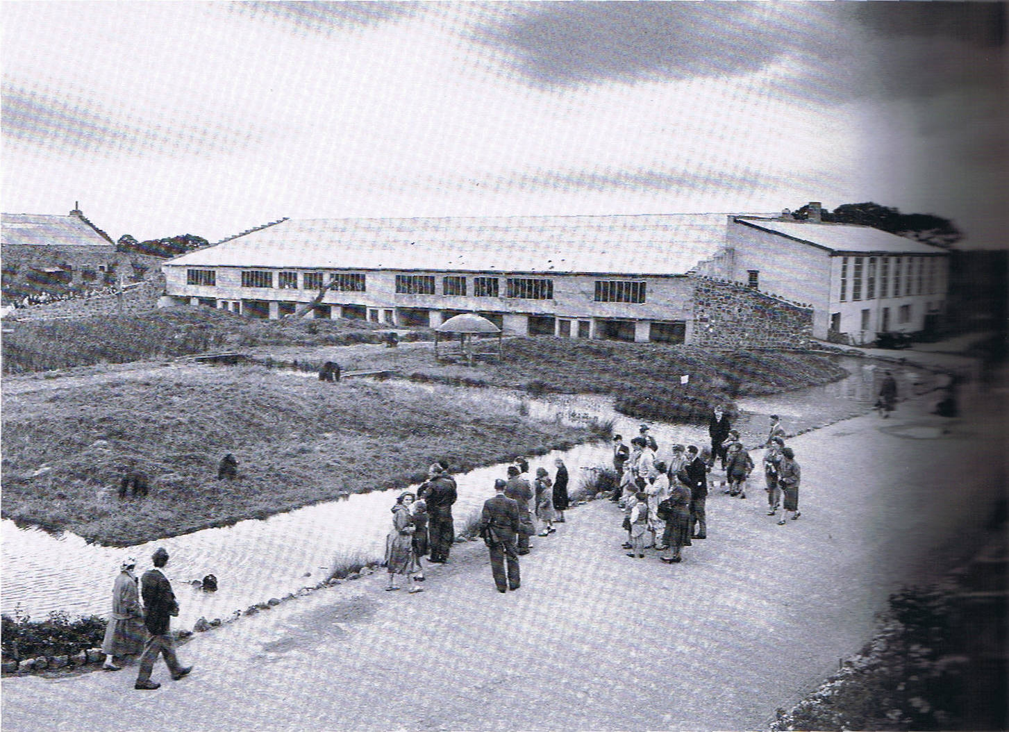 Chester's Chimp House, 1957