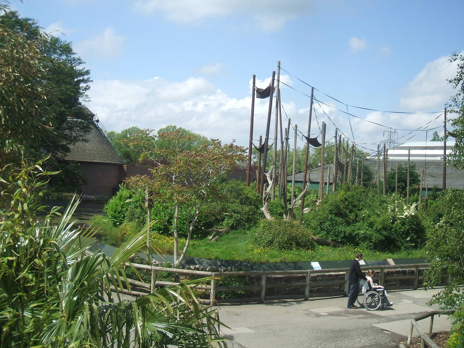 Chester's Chimp Islands, 2007