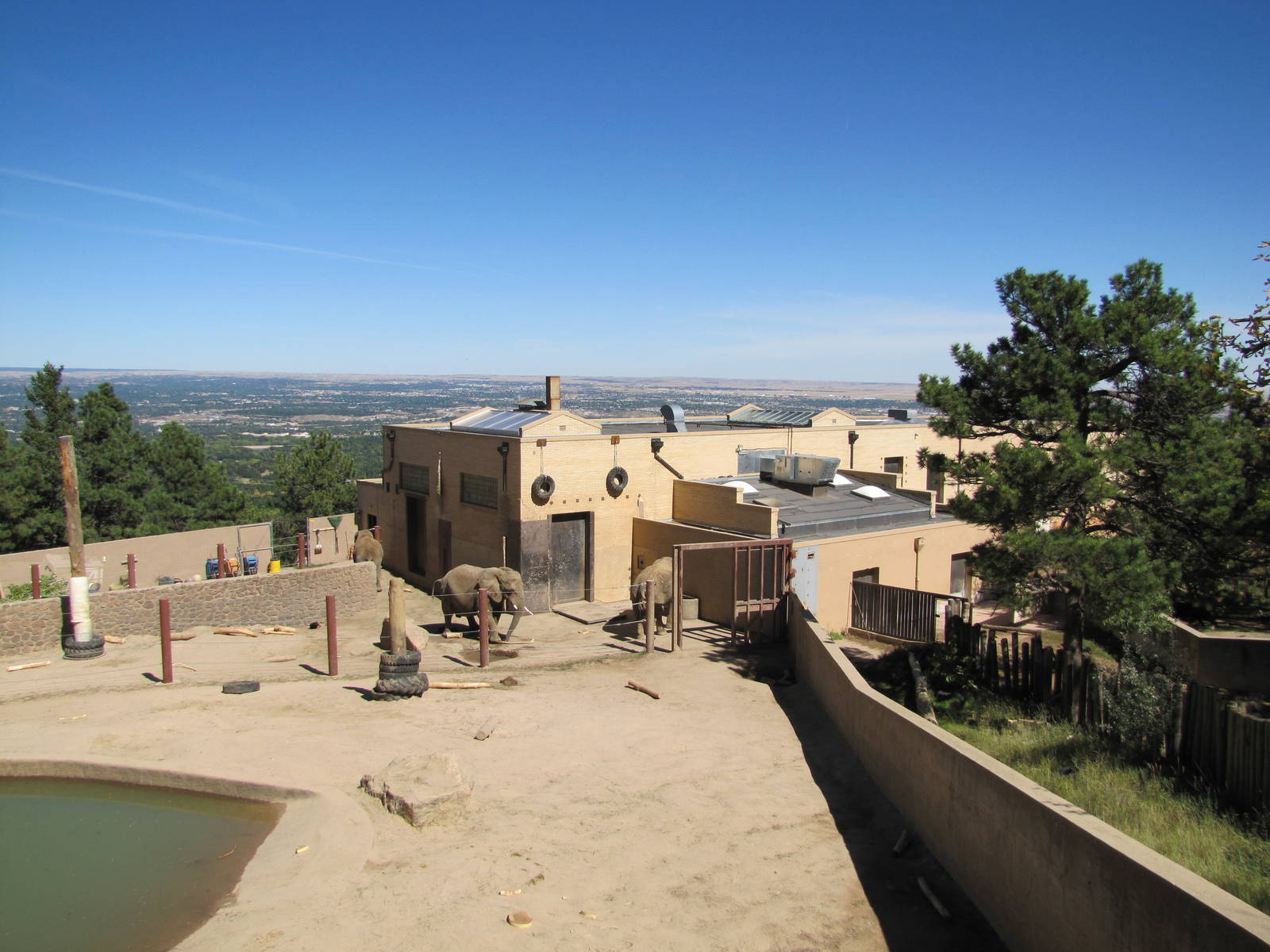 Cheyenne Mountain Zoo 2010 - African Elephant exhibit