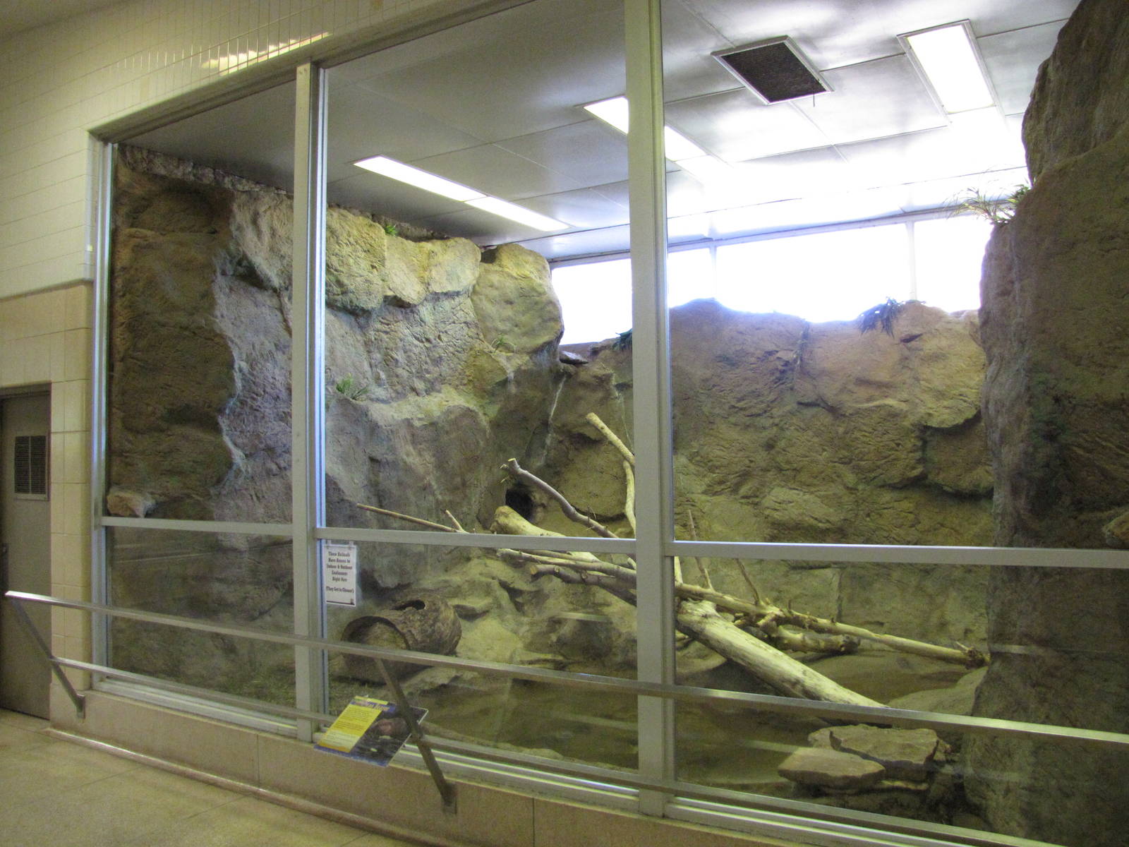 Cheyenne Mountain Zoo 2010 - American Beaver exhibit inside the Aquatics bu