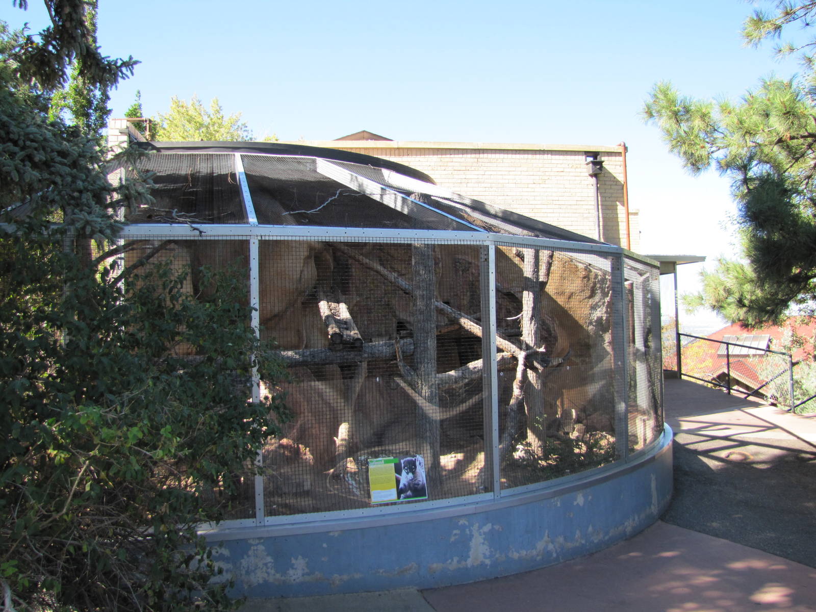 Cheyenne Mountain Zoo 2010 - Coati exhibit