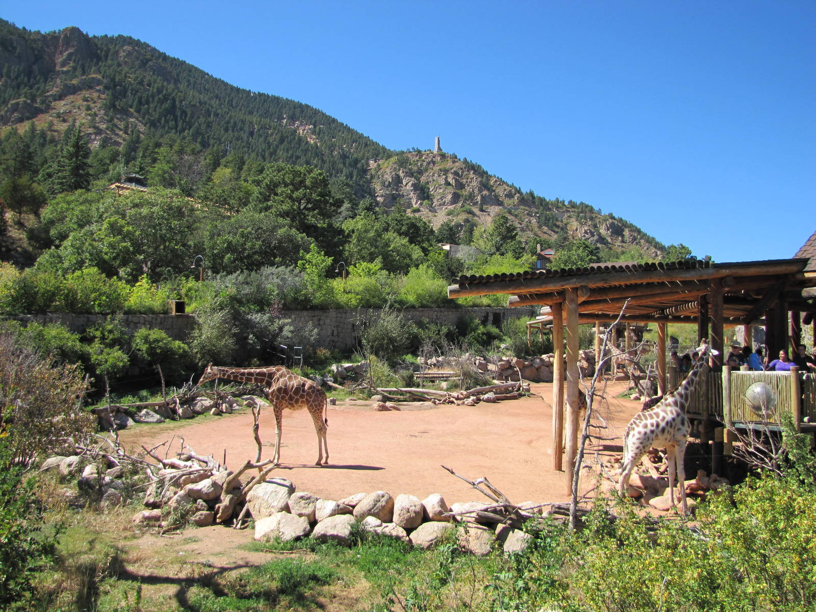 Cheyenne Mountain Zoo 2010 - Giraffe exhibit
