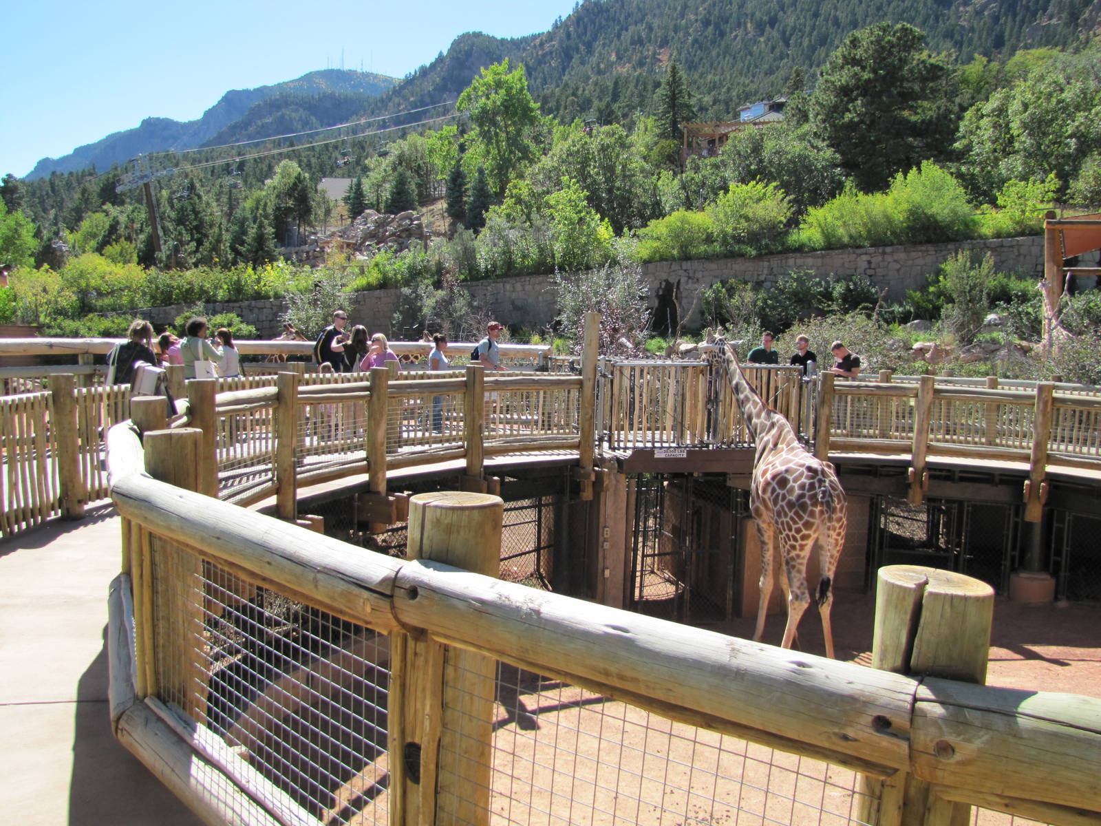 Cheyenne Mountain Zoo 2010 - Giraffe exhibit