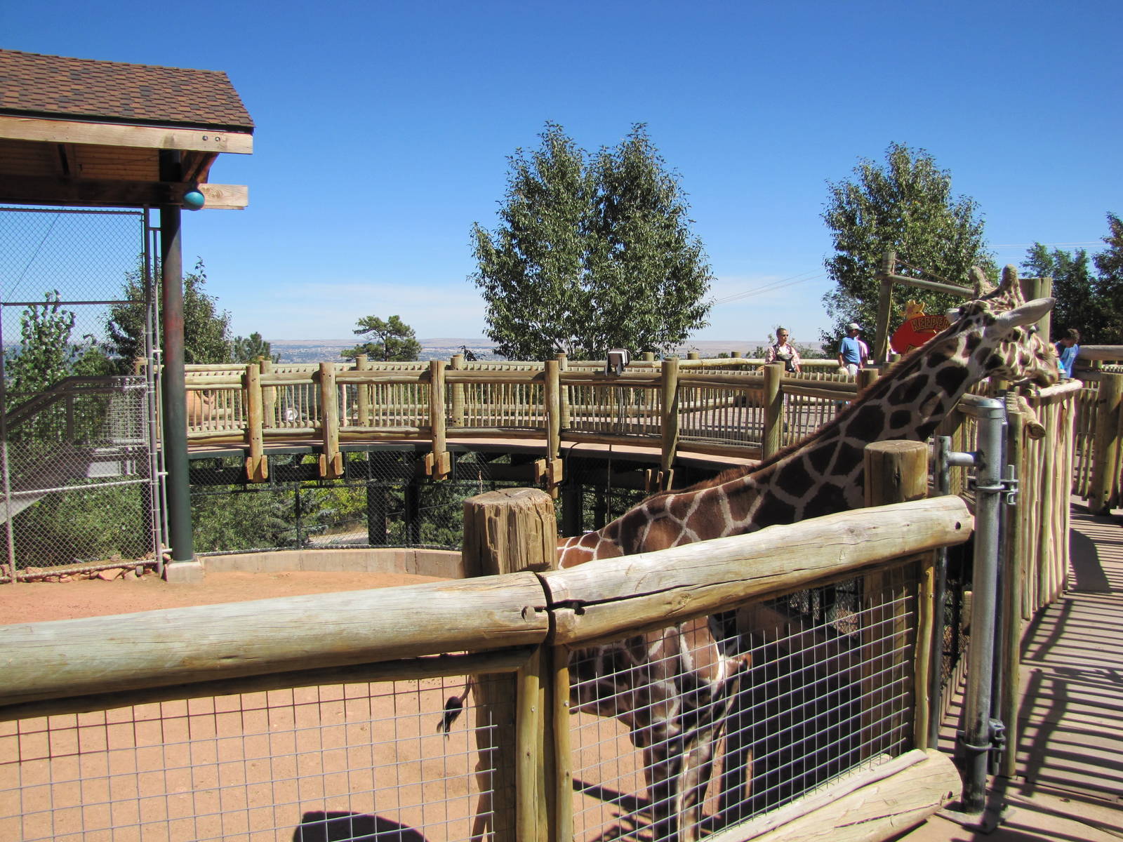 Cheyenne Mountain Zoo 2010 - Giraffe exhibit