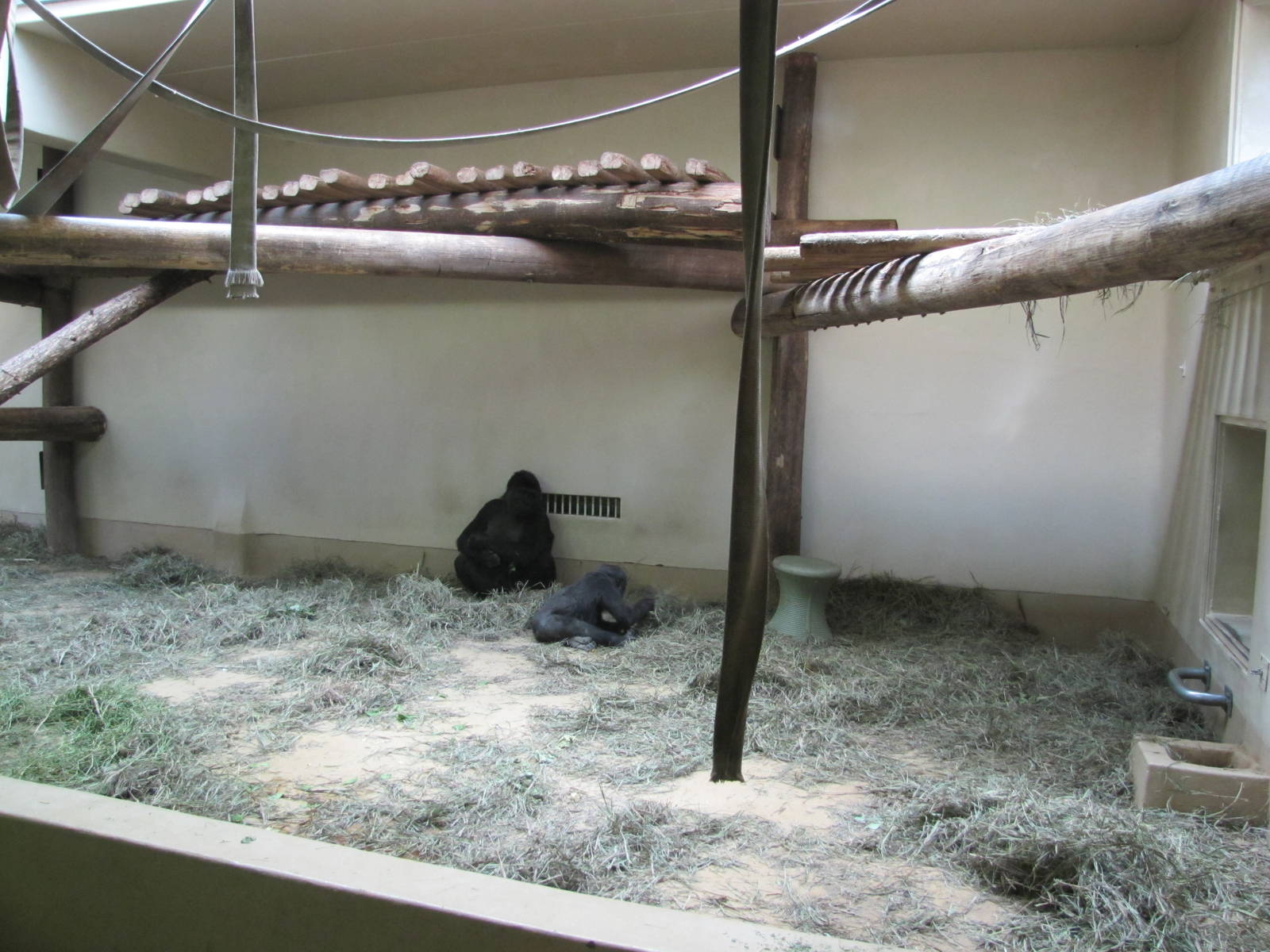 Cheyenne Mountain Zoo 2010 - Indoor Gorilla exhibit