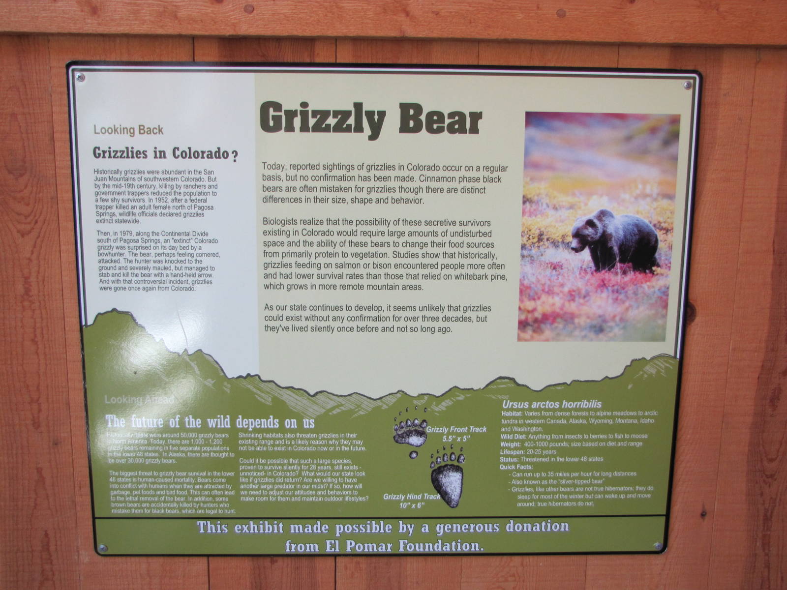 Cheyenne Mountain Zoo 2010 - Informative Grizzly Bear exhibit label