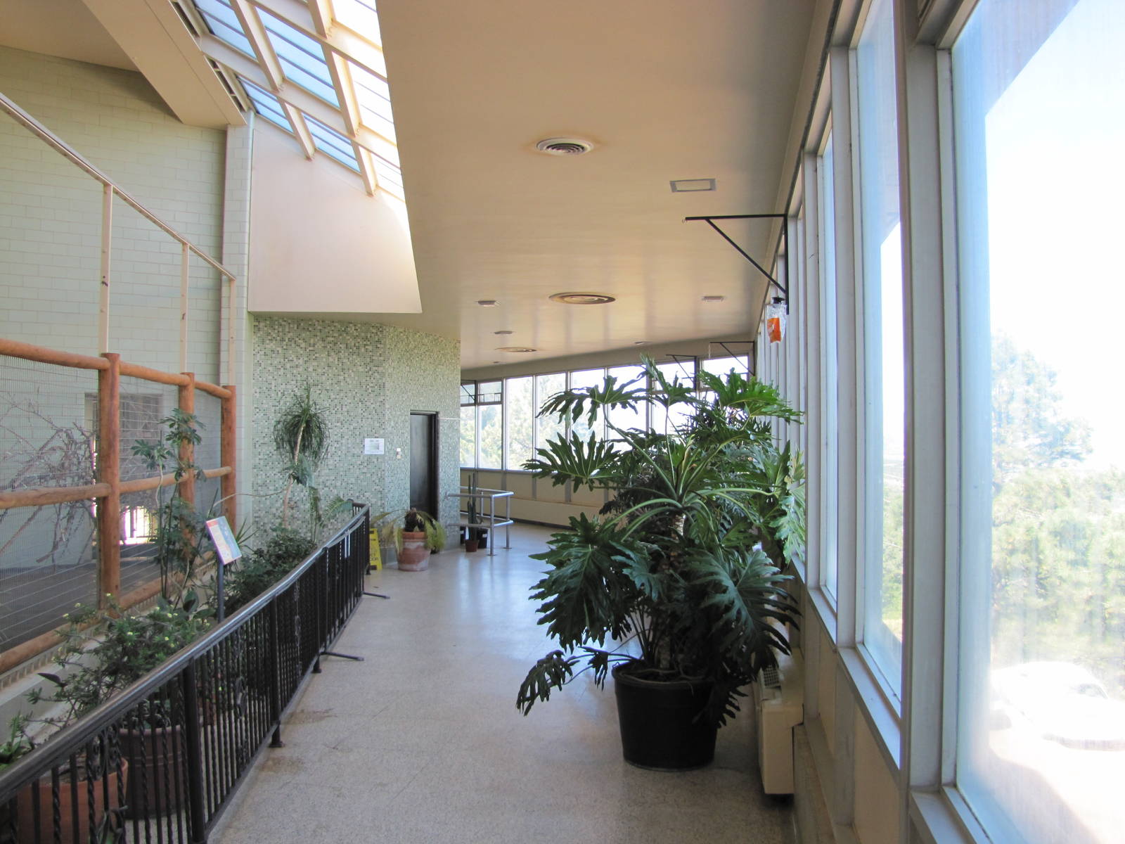 Cheyenne Mountain Zoo 2010 - Inside the Elephant and Giraffe Building