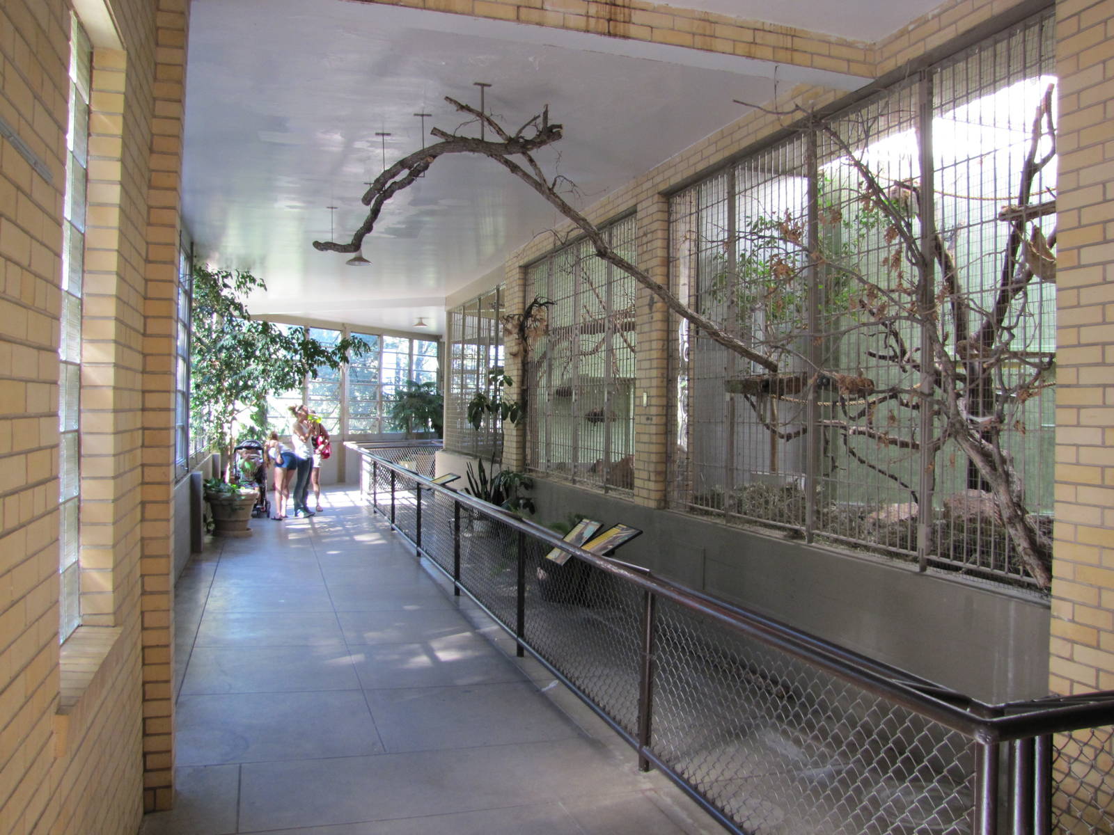 Cheyenne Mountain Zoo 2010 - Inside the old Monkey Pavilion