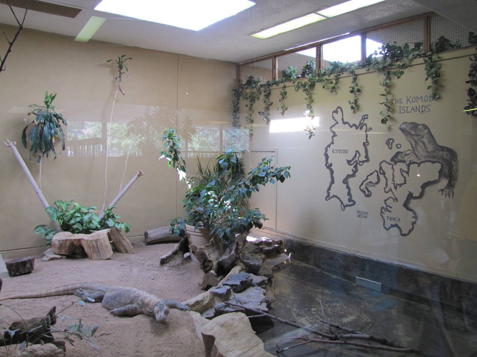 Cheyenne Mountain Zoo 2010 - Komodo Dragon exhibit inside the Aquatics buil