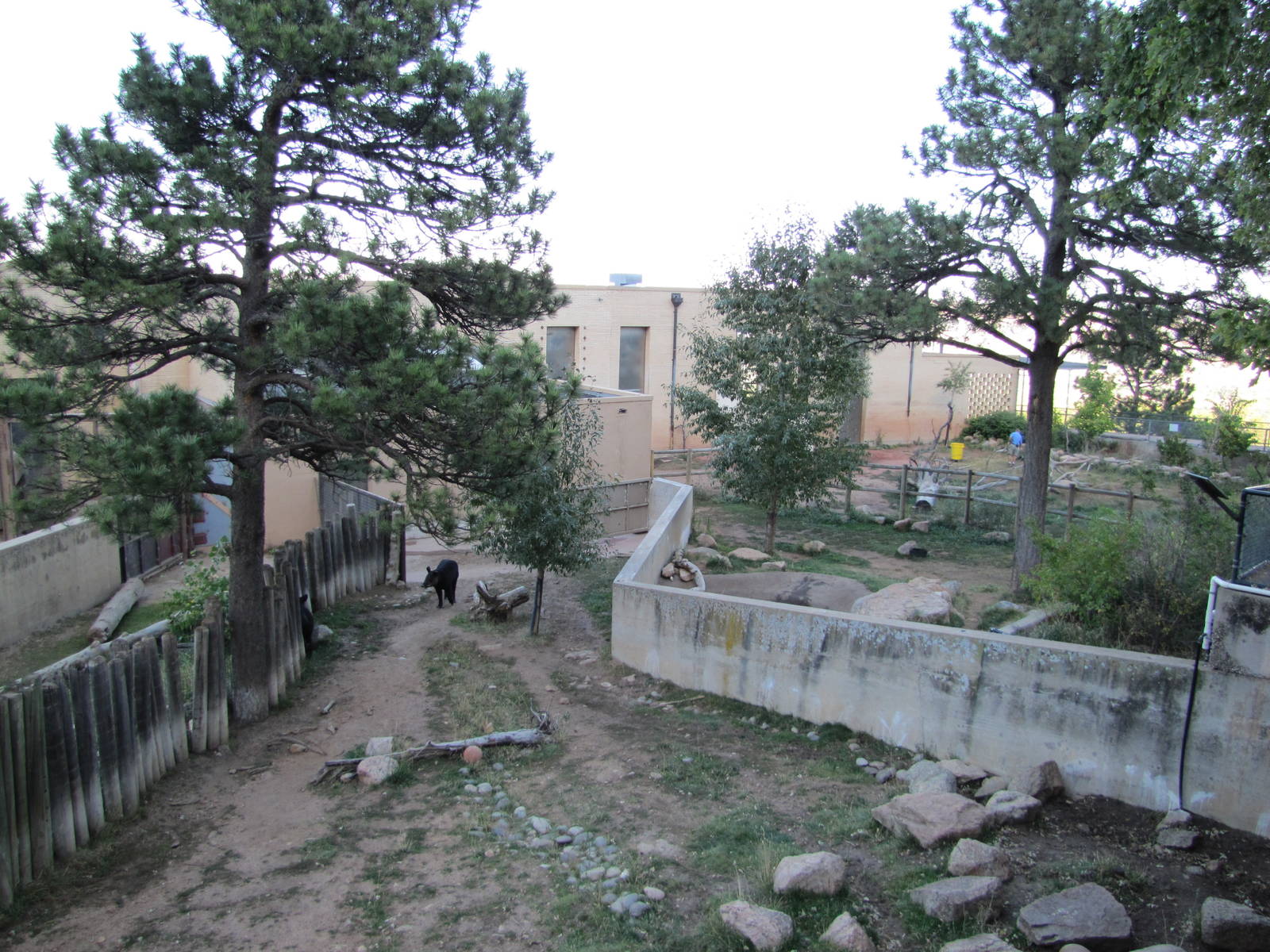 Cheyenne Mountain Zoo 2010 - Mountain Tapir exhibit