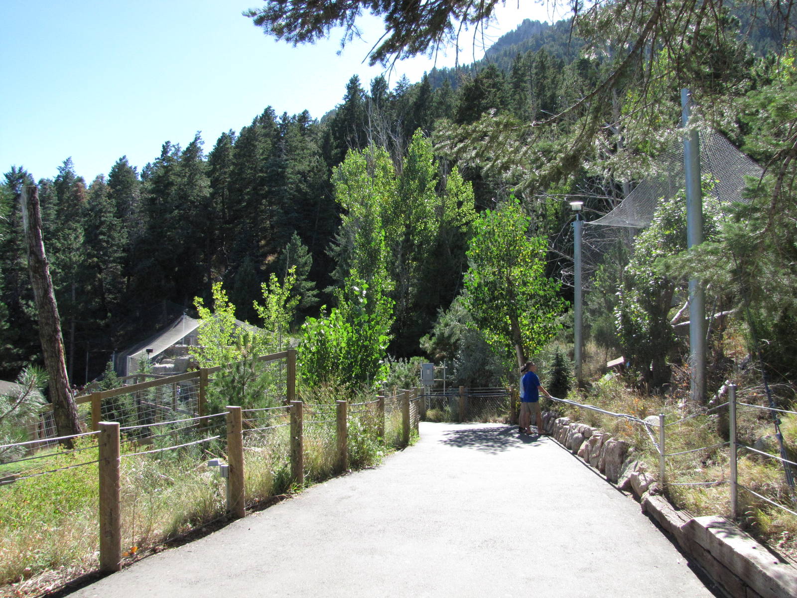 Cheyenne Mountain Zoo 2010 - View towards Cougar Canyon