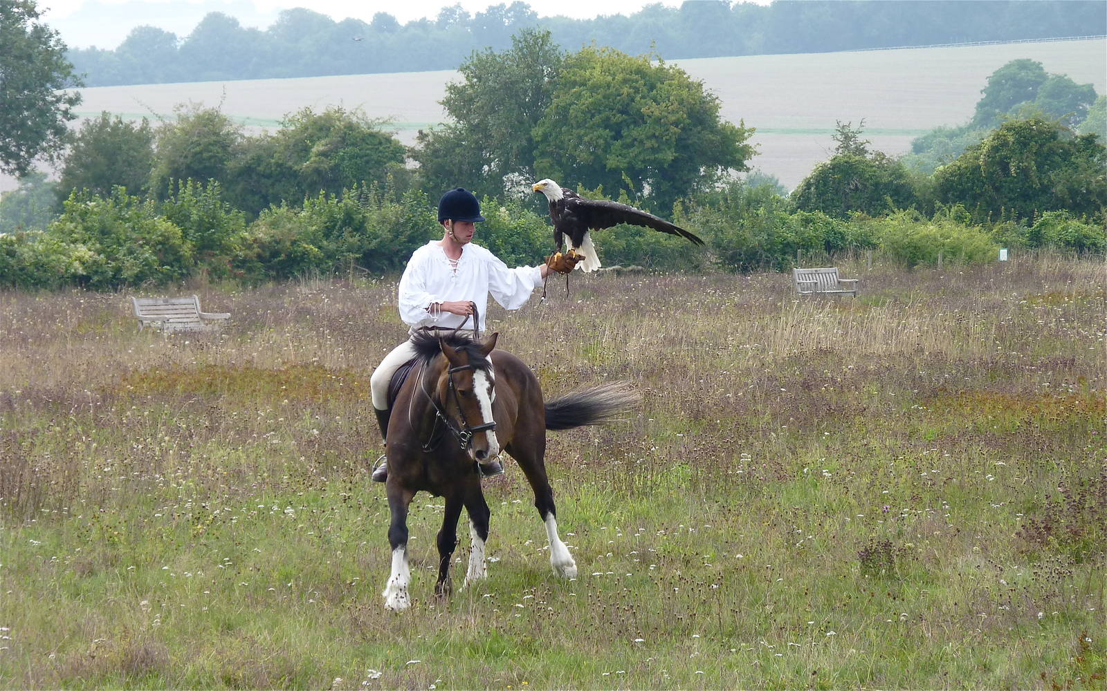Cheyenne the Bald Eagle and Falconer