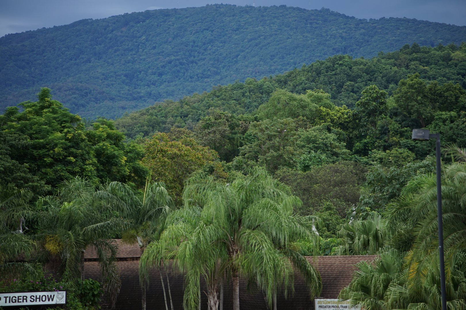Chiang Mai Night Safari
