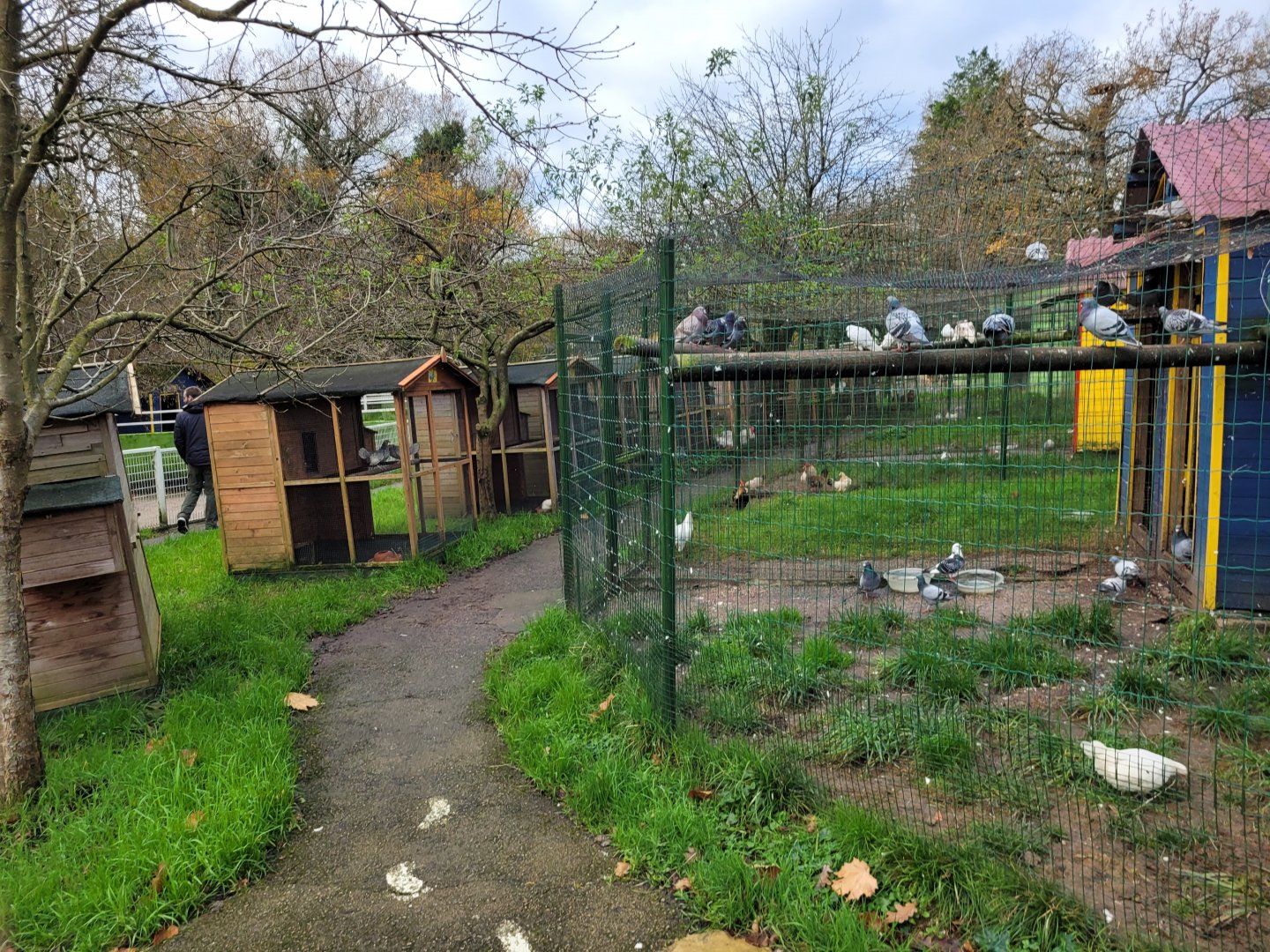 Chicken and Pigeon coops -Zoo de Santillana del Mar (2023)