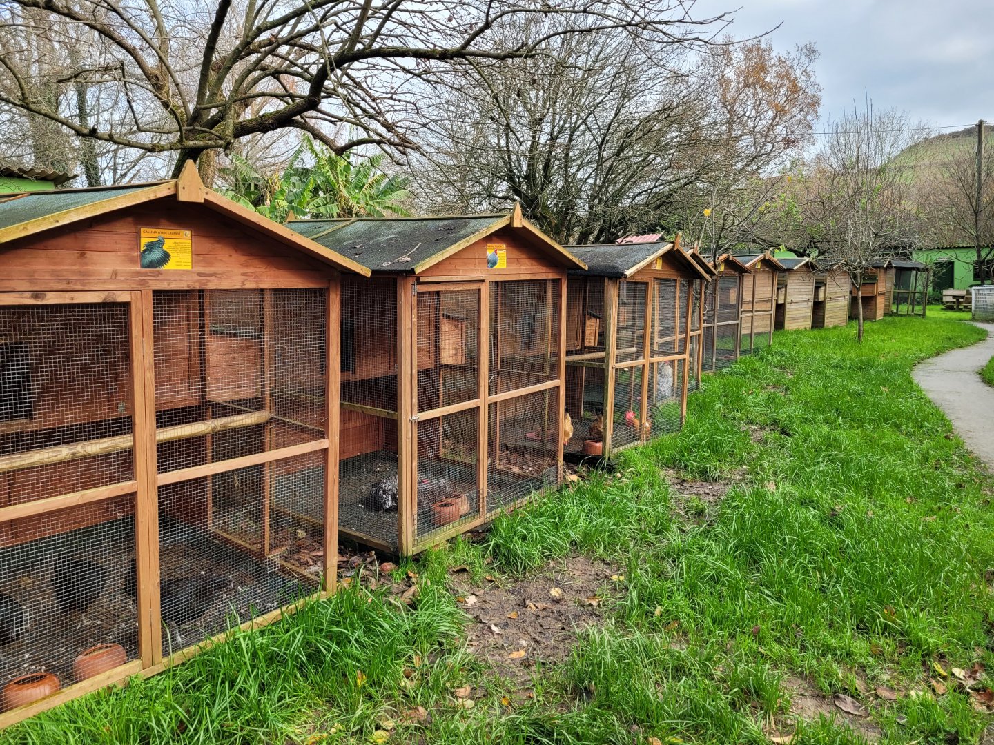 Chicken and Pigeon coops -Zoo de Santillana del Mar (2023)