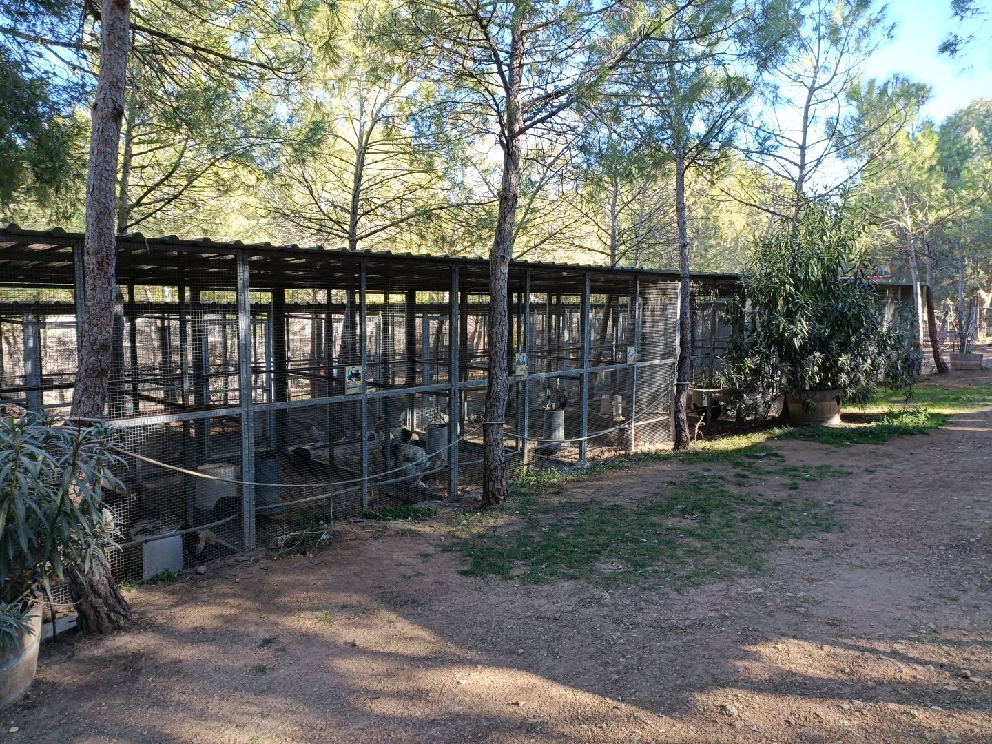 Chicken aviaries - Bioparque La Rocha