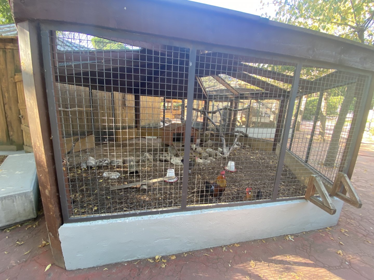 Chicken aviary 1