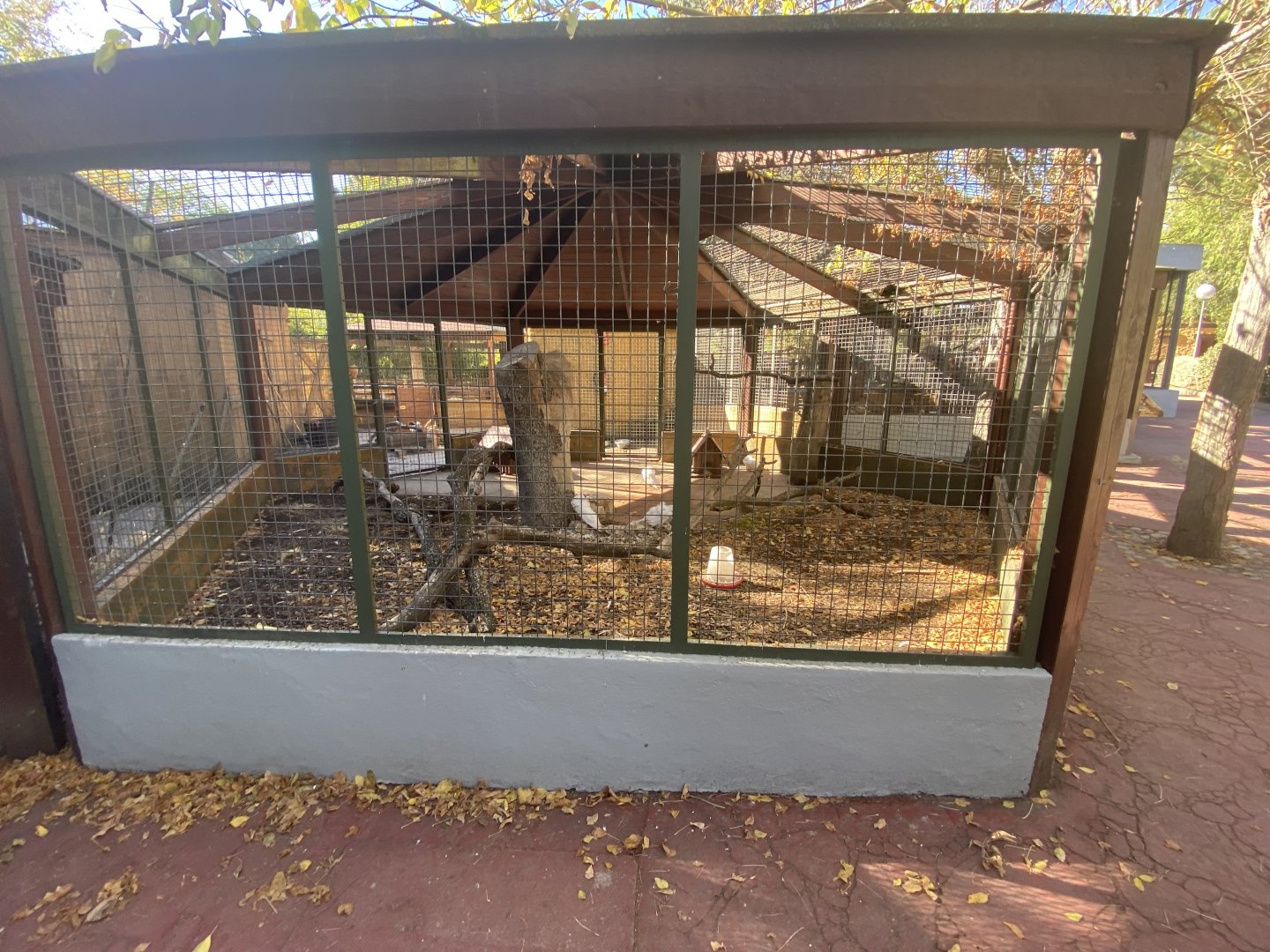 Chicken aviary 2