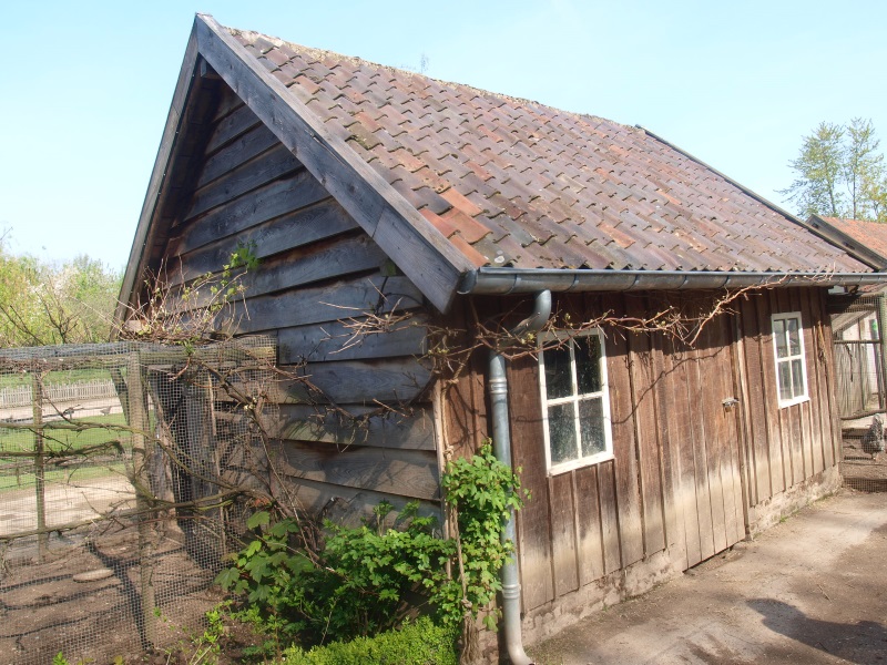 Chicken barn (May 2nd, 2015)