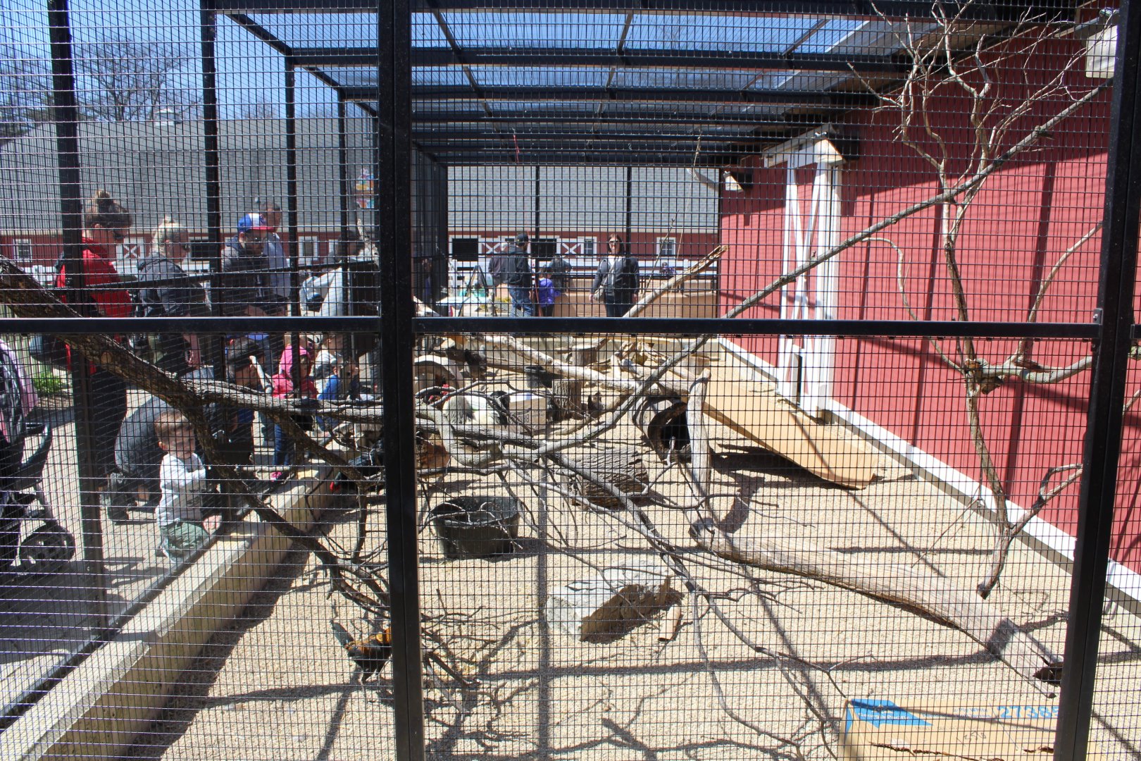 Chicken Coop - Animal Care Center