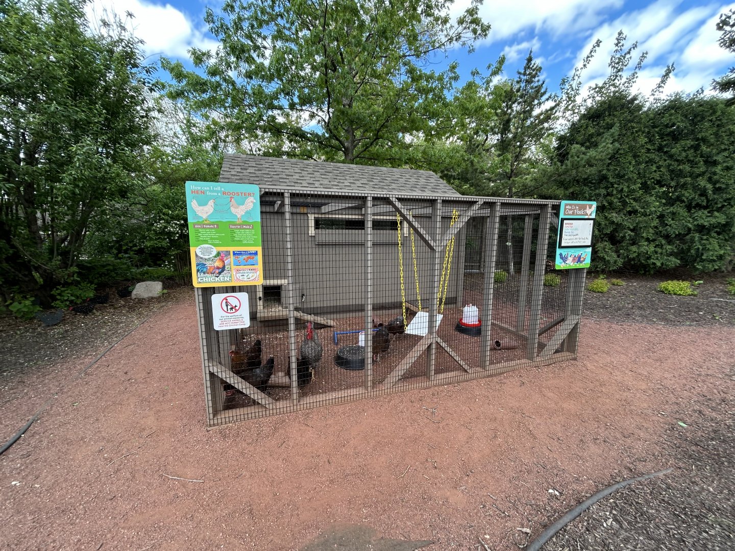 Chicken Coop - Hamill Family Play Zoo