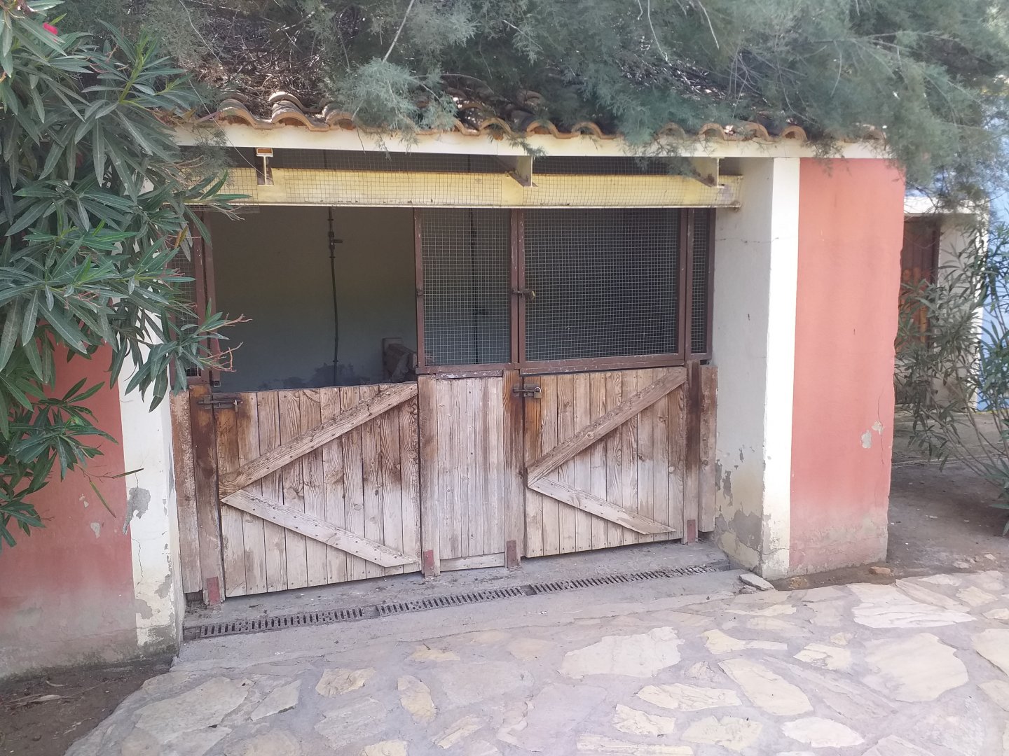 Chicken coop -TerraNatura Benidorm (2021)