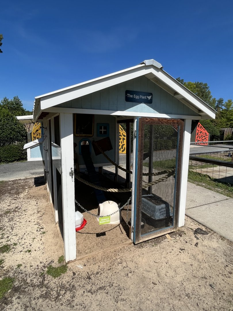 Chicken Coop