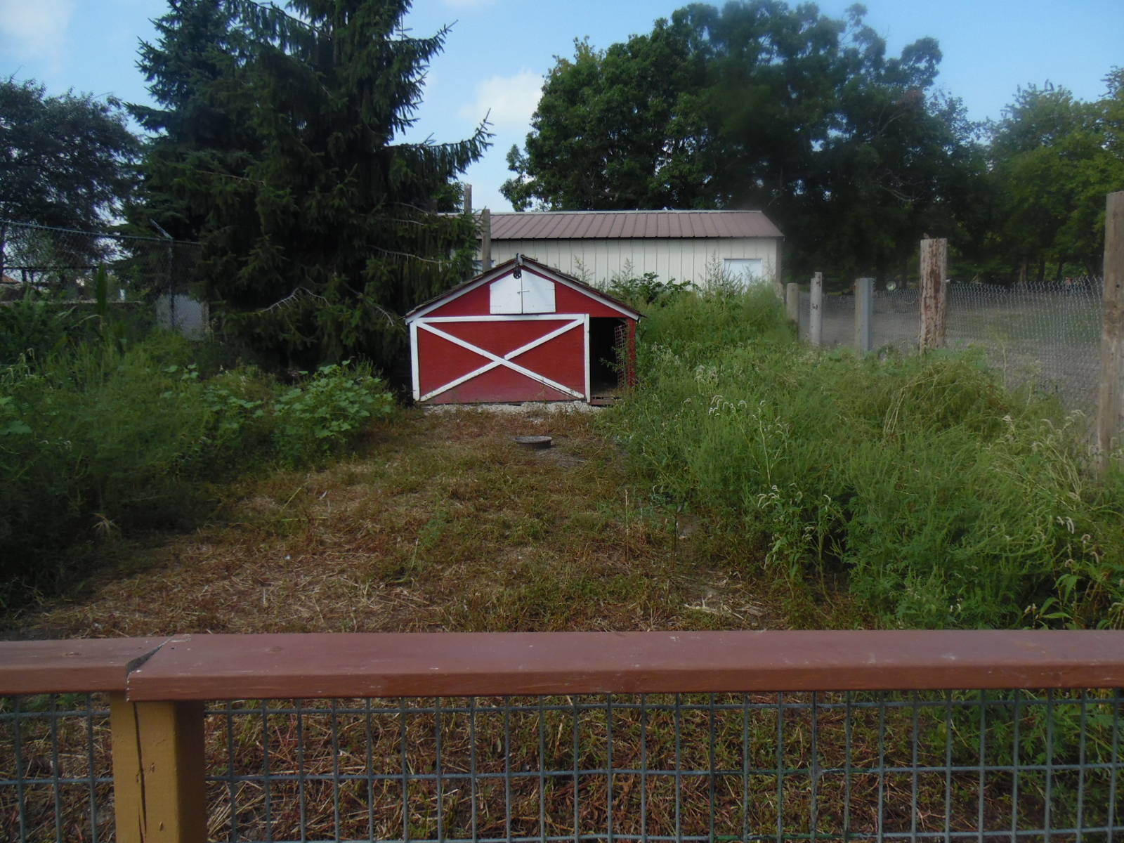 Chicken/Duck Exhibit