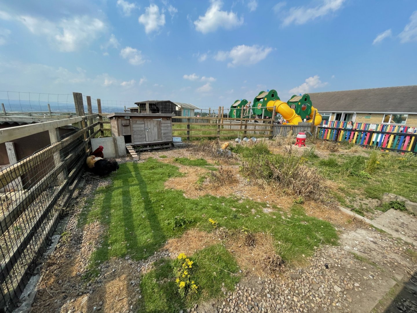 Chicken Enclosure at Charlotte's Ice Cream Parlour (July 2021)