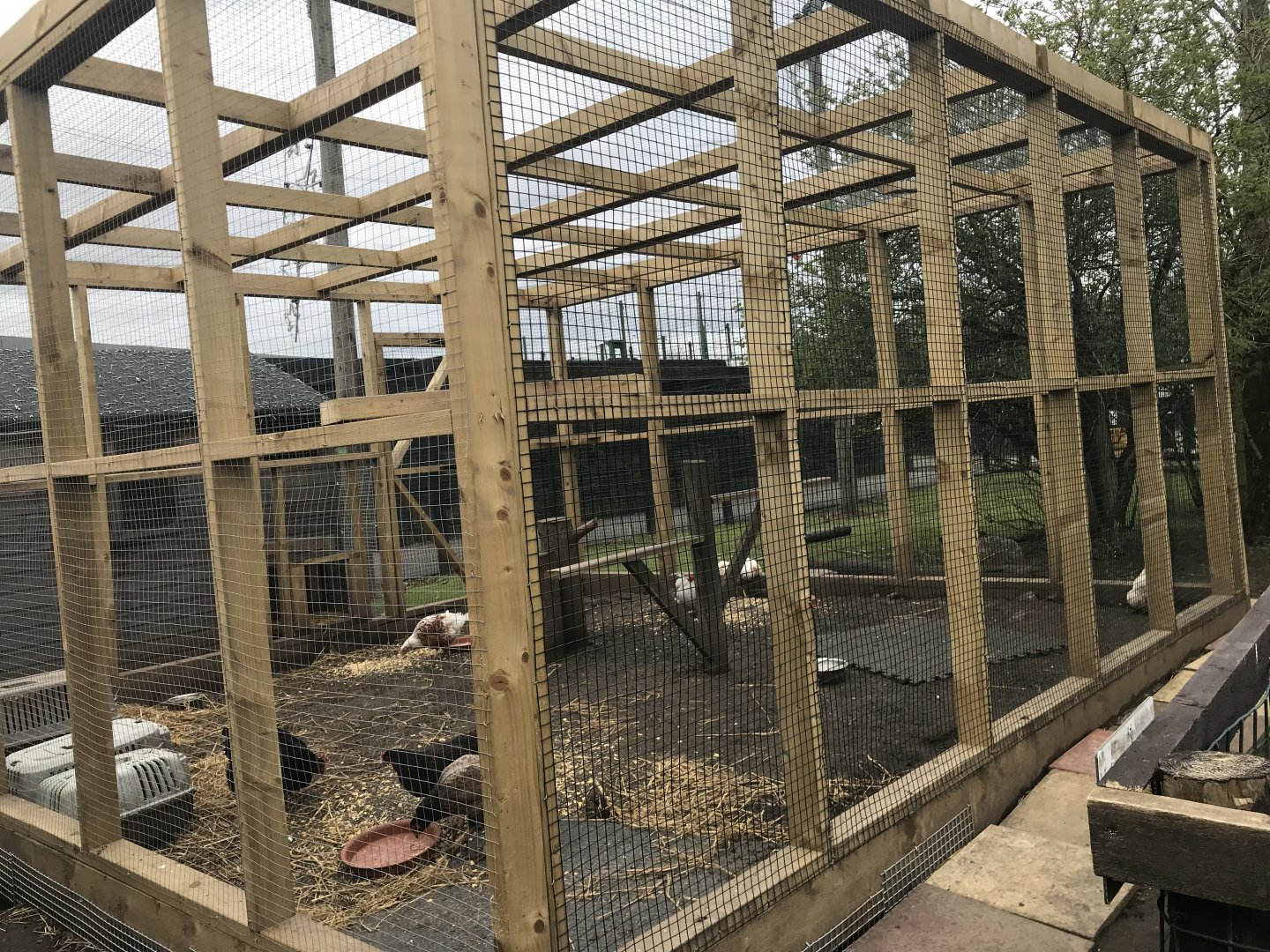Chicken enclosure