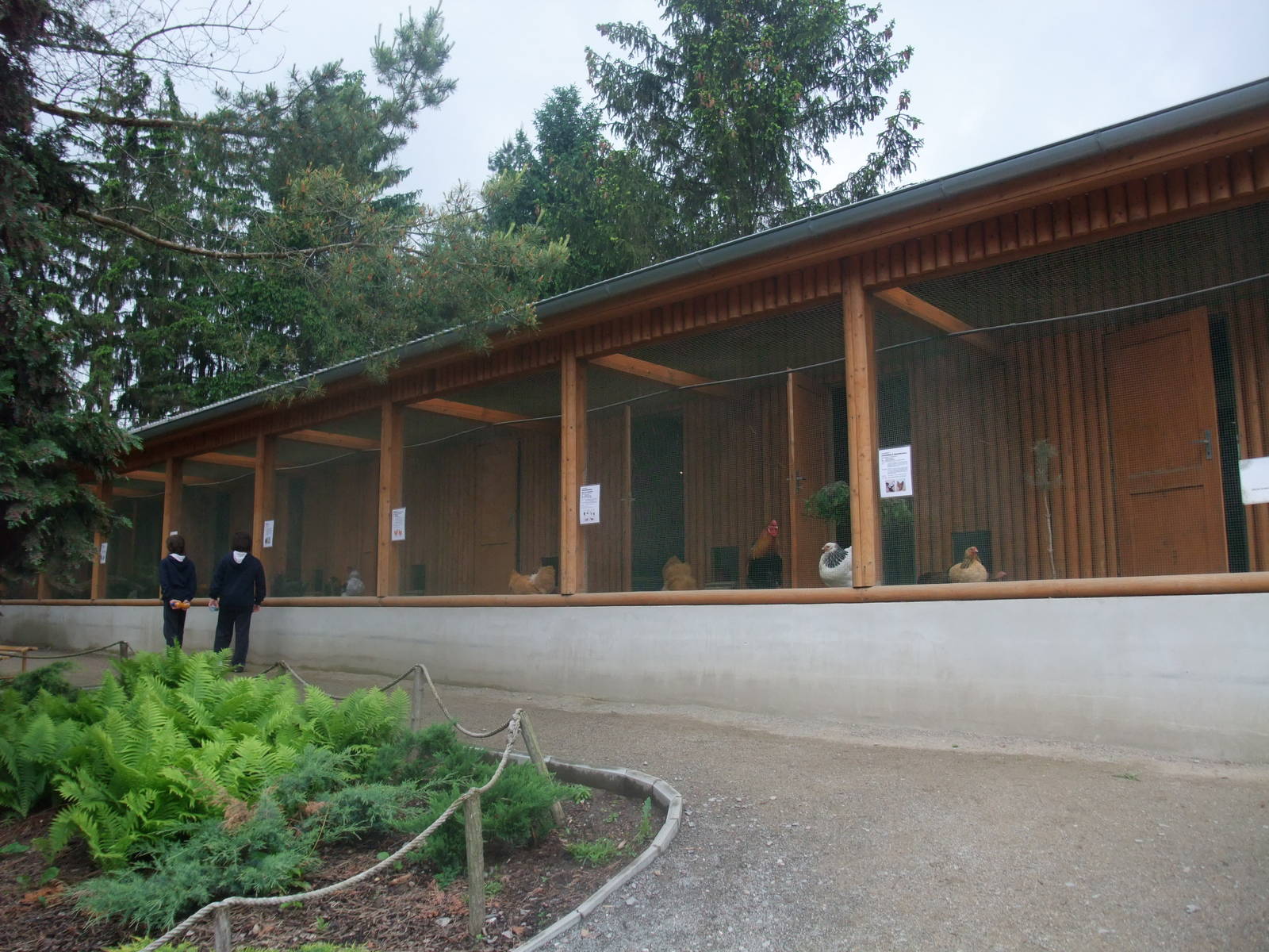 Chicken House at Vyskov, 30/05/10